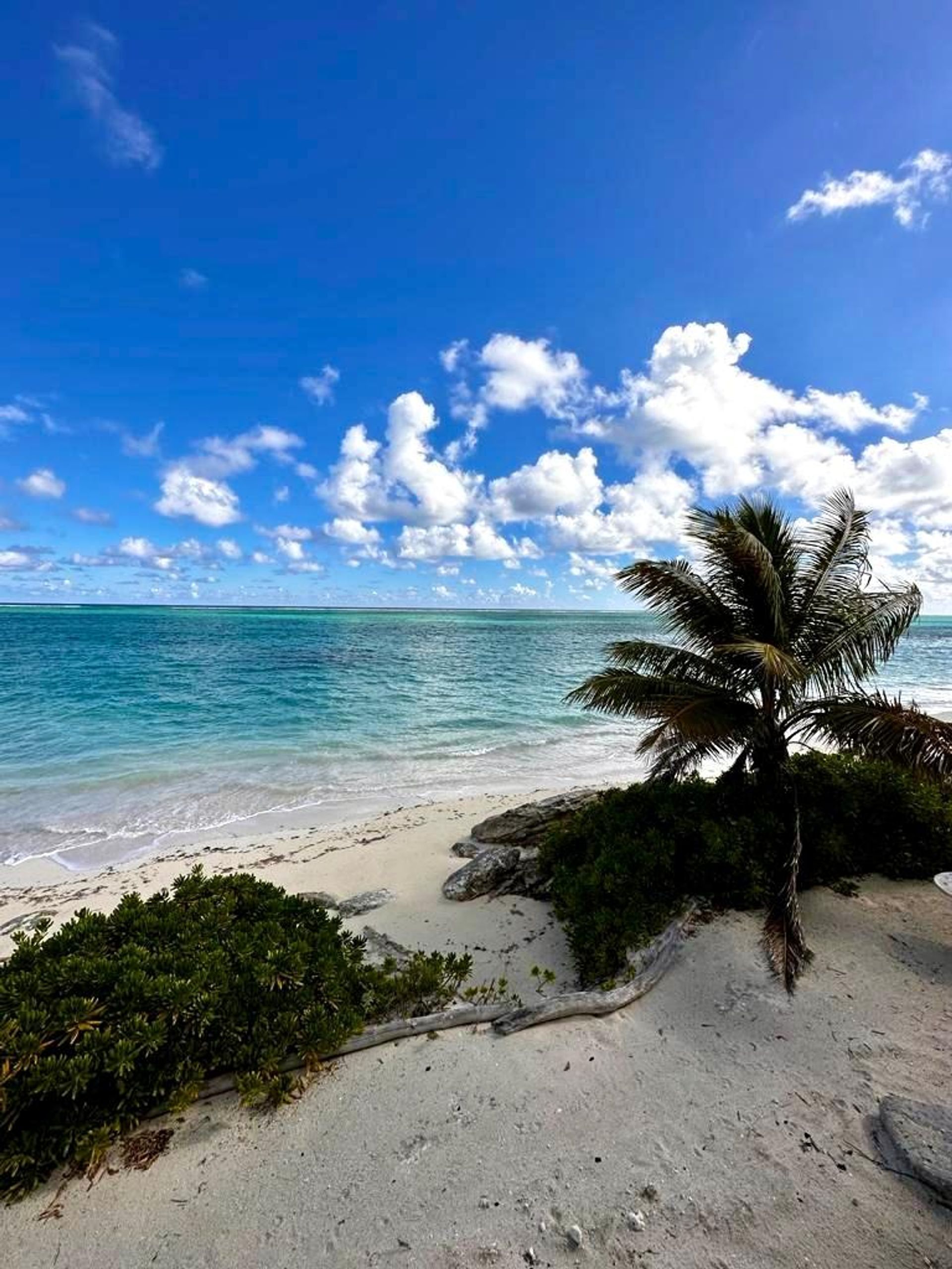 Condominium in Whitby, Caicos Islands 12490706