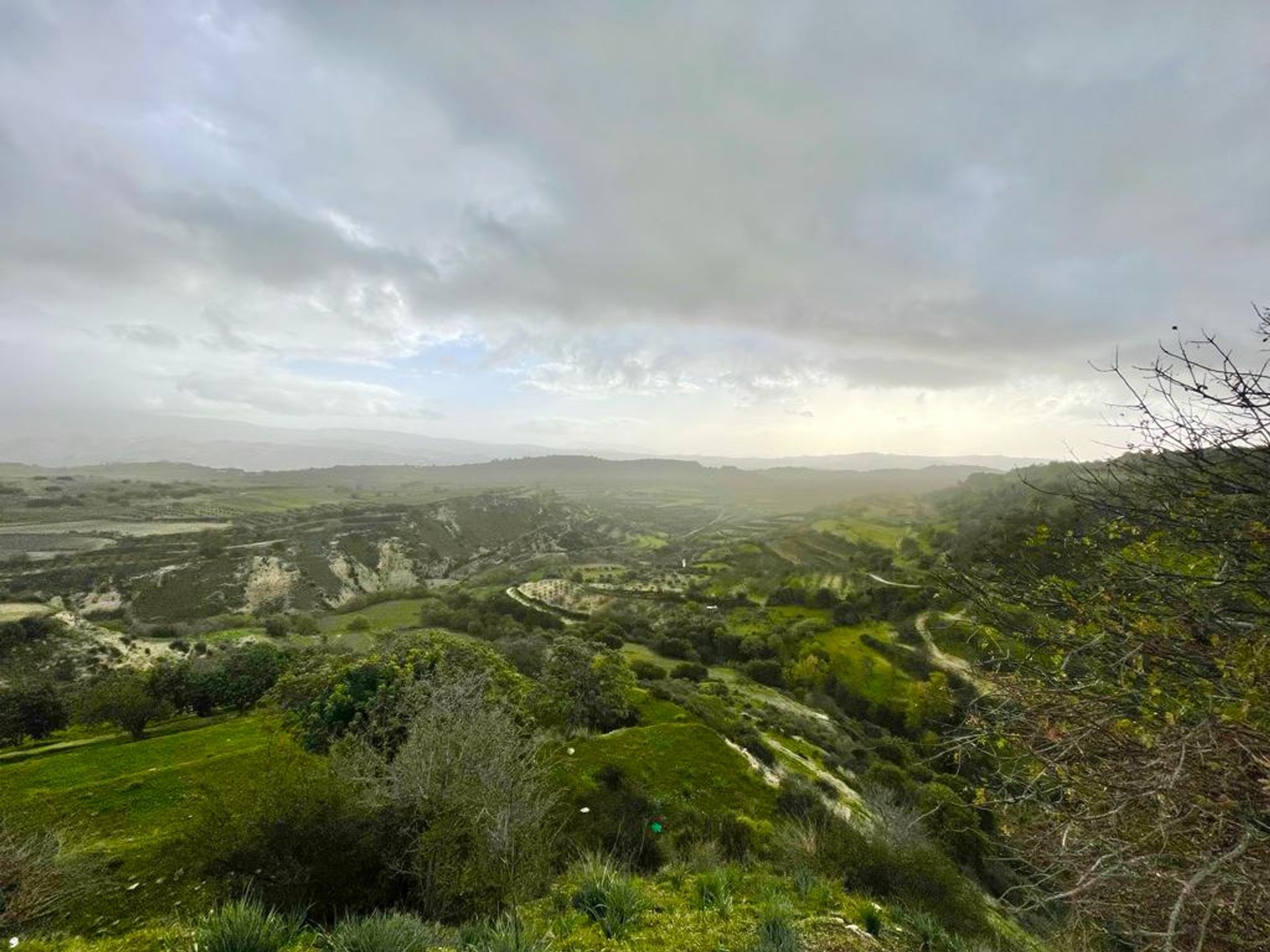 Wylądować w Mesa Chorio, Pafos 12491026