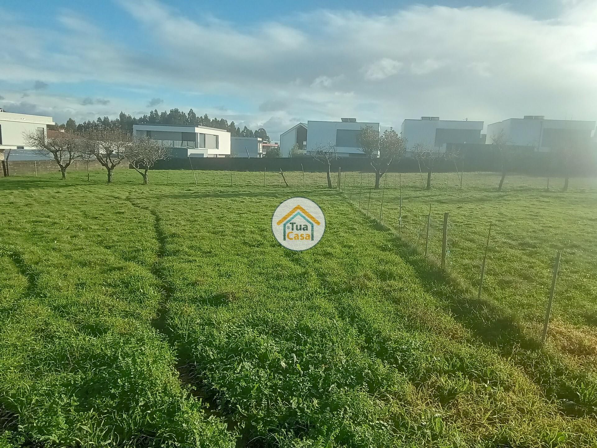 Tierra en Albergaria-a-Velha, Aveiro 12491511