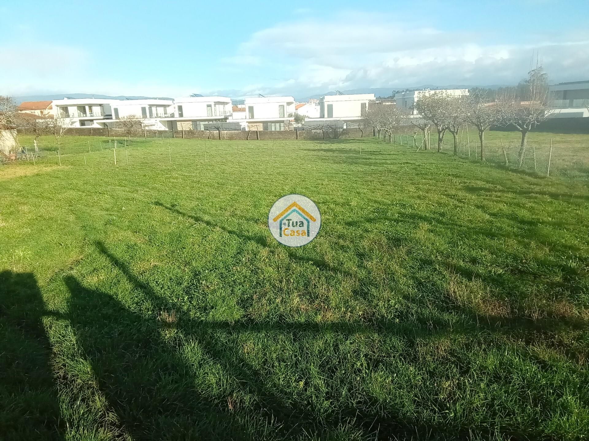 Land in Albergaria-a-Velha, Aveiro 12491511