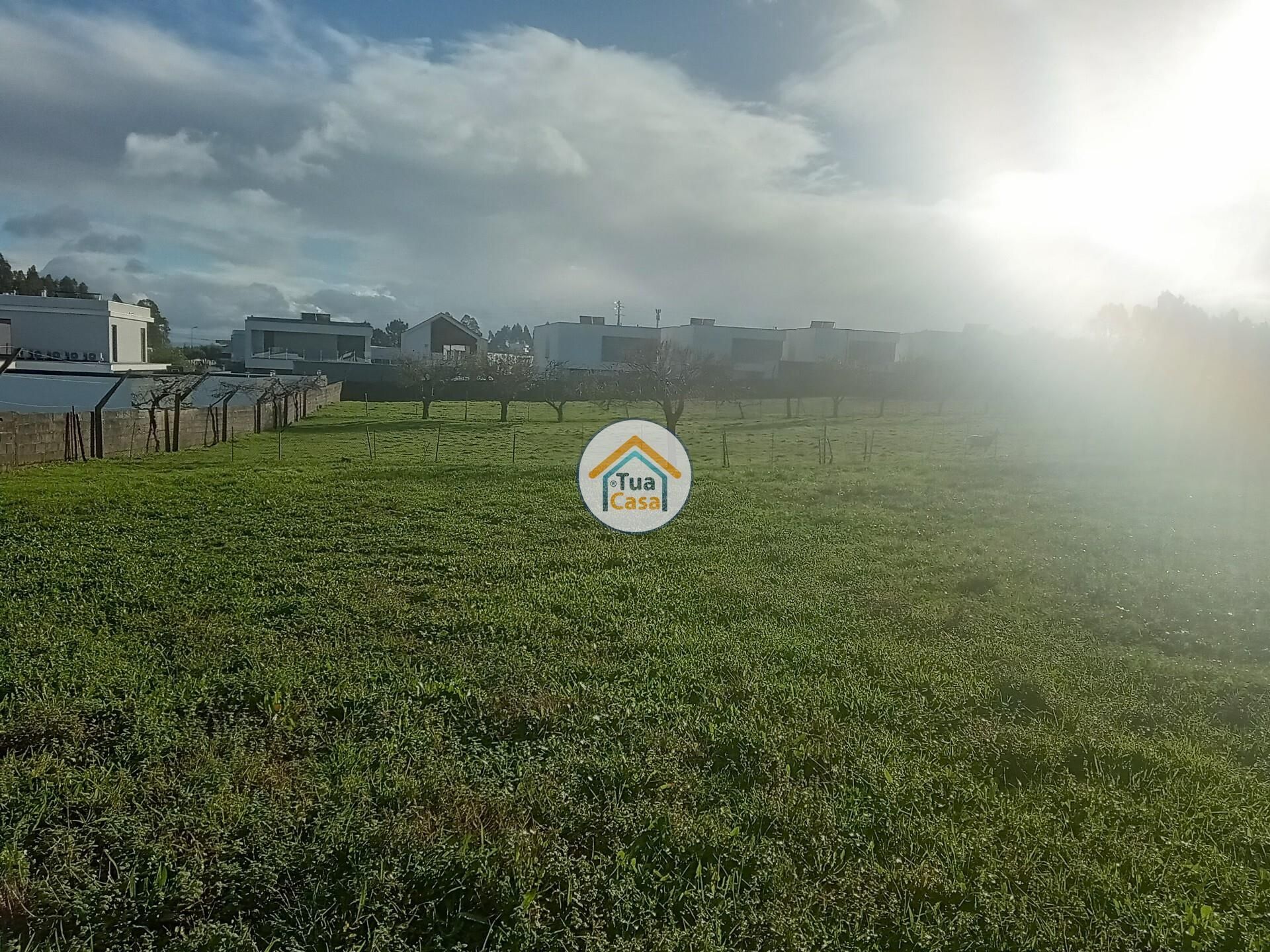 Land im Albergaria-a-Velha, Aveiro 12491513