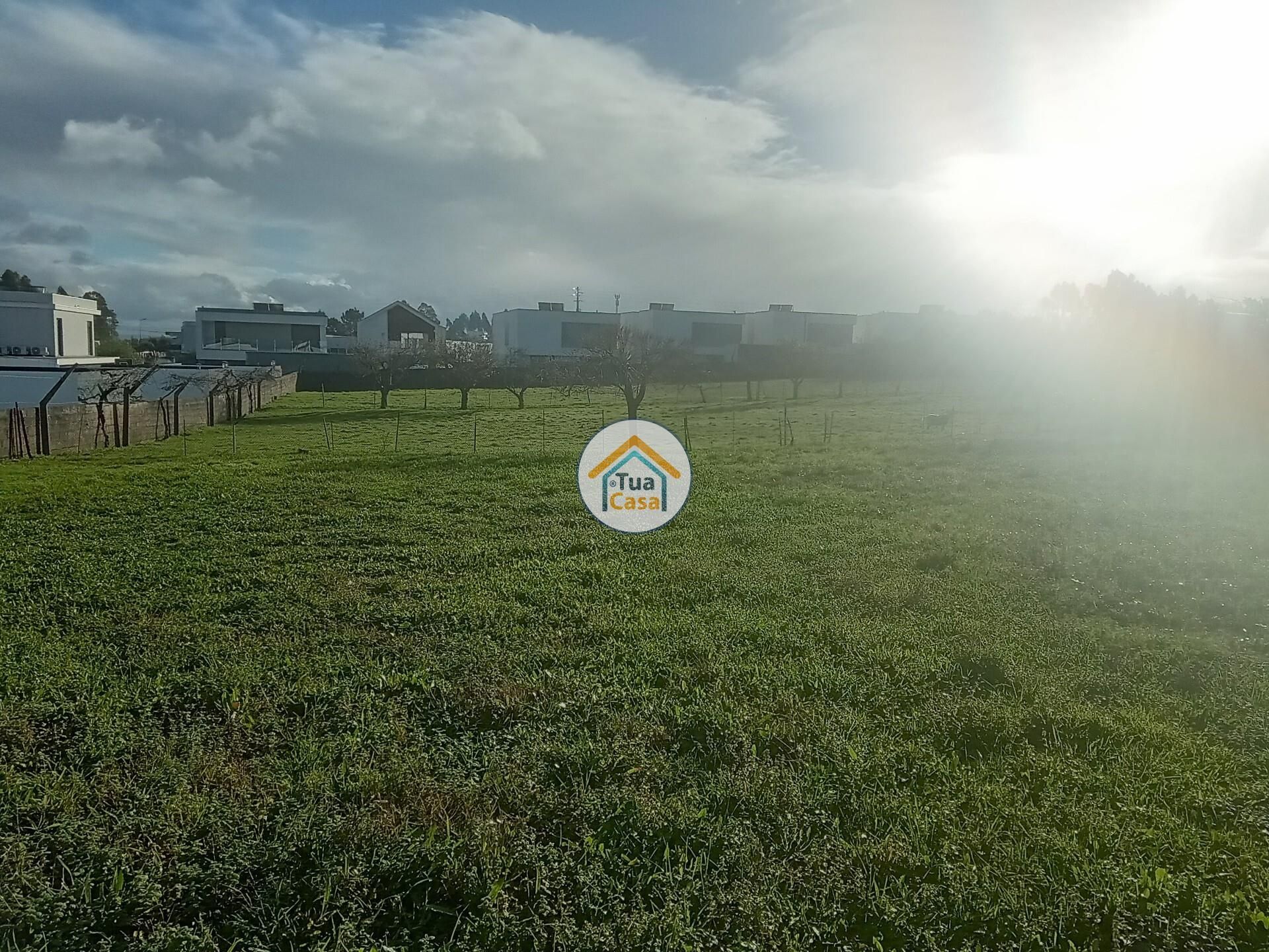 Land in Albergaria-a-Velha, Aveiro 12491513