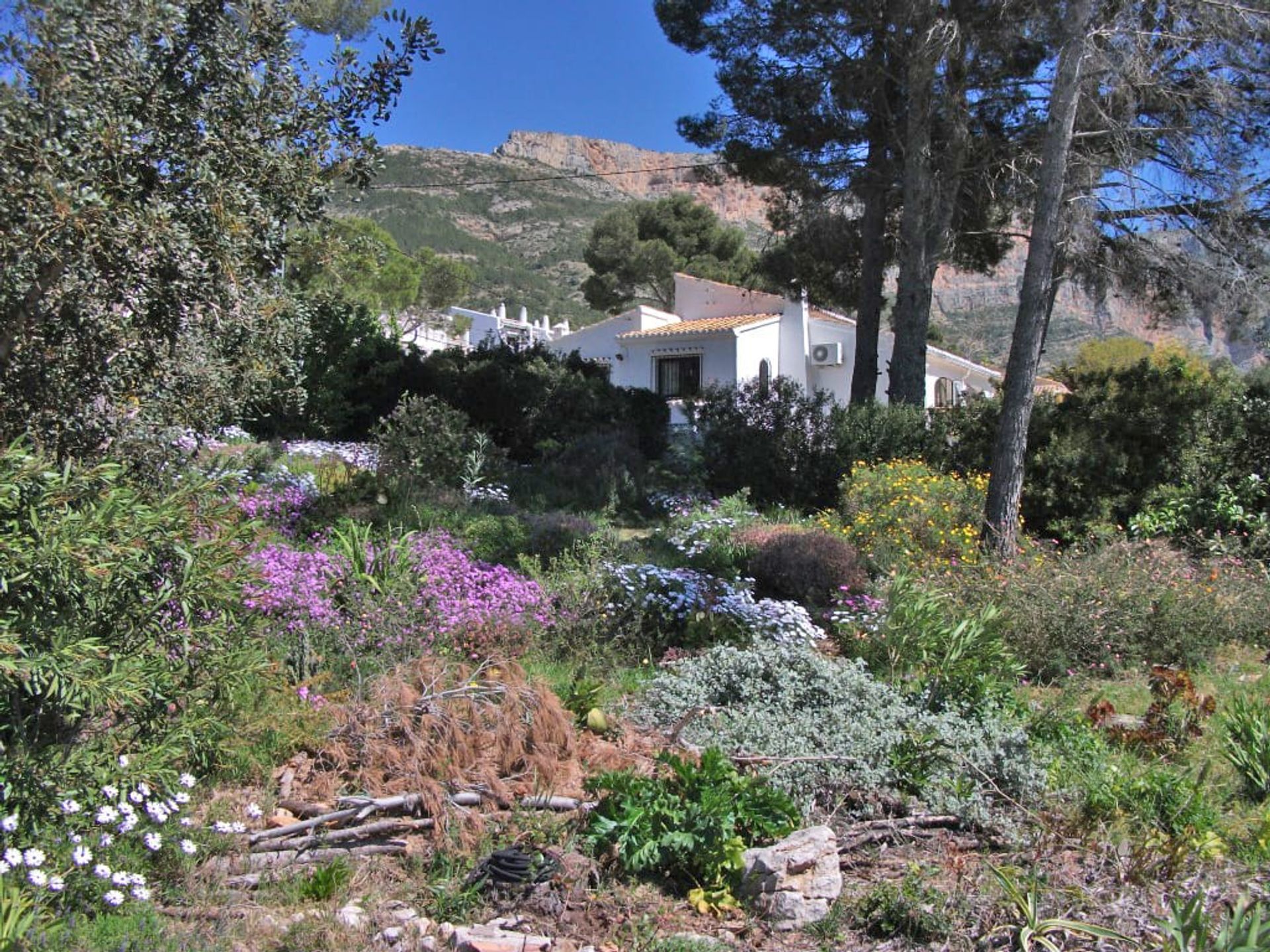 Hus i Dénia, Comunidad Valenciana 12492450