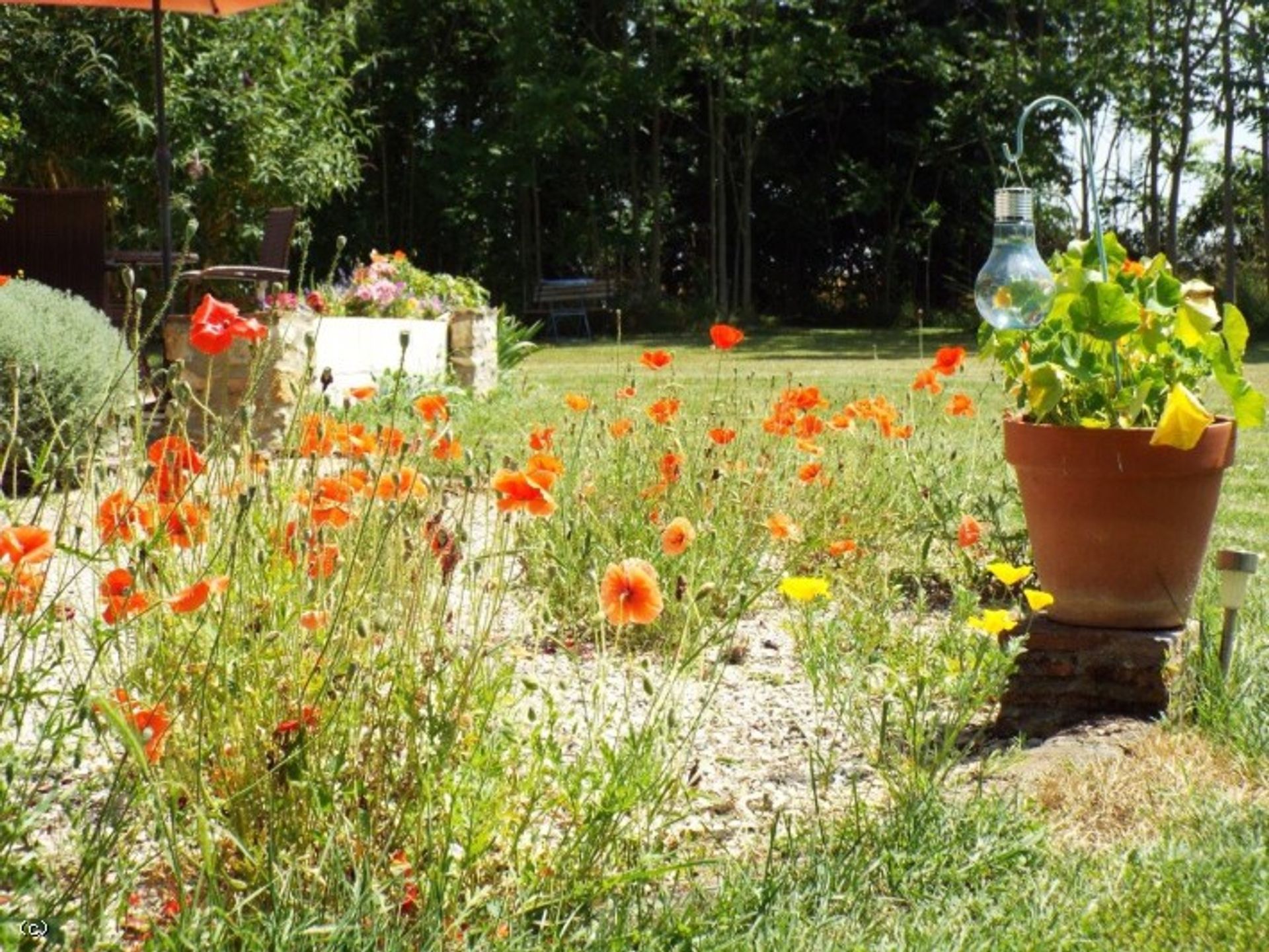 σπίτι σε Verteuil-sur-Charente, Nouvelle-Aquitaine 12492475