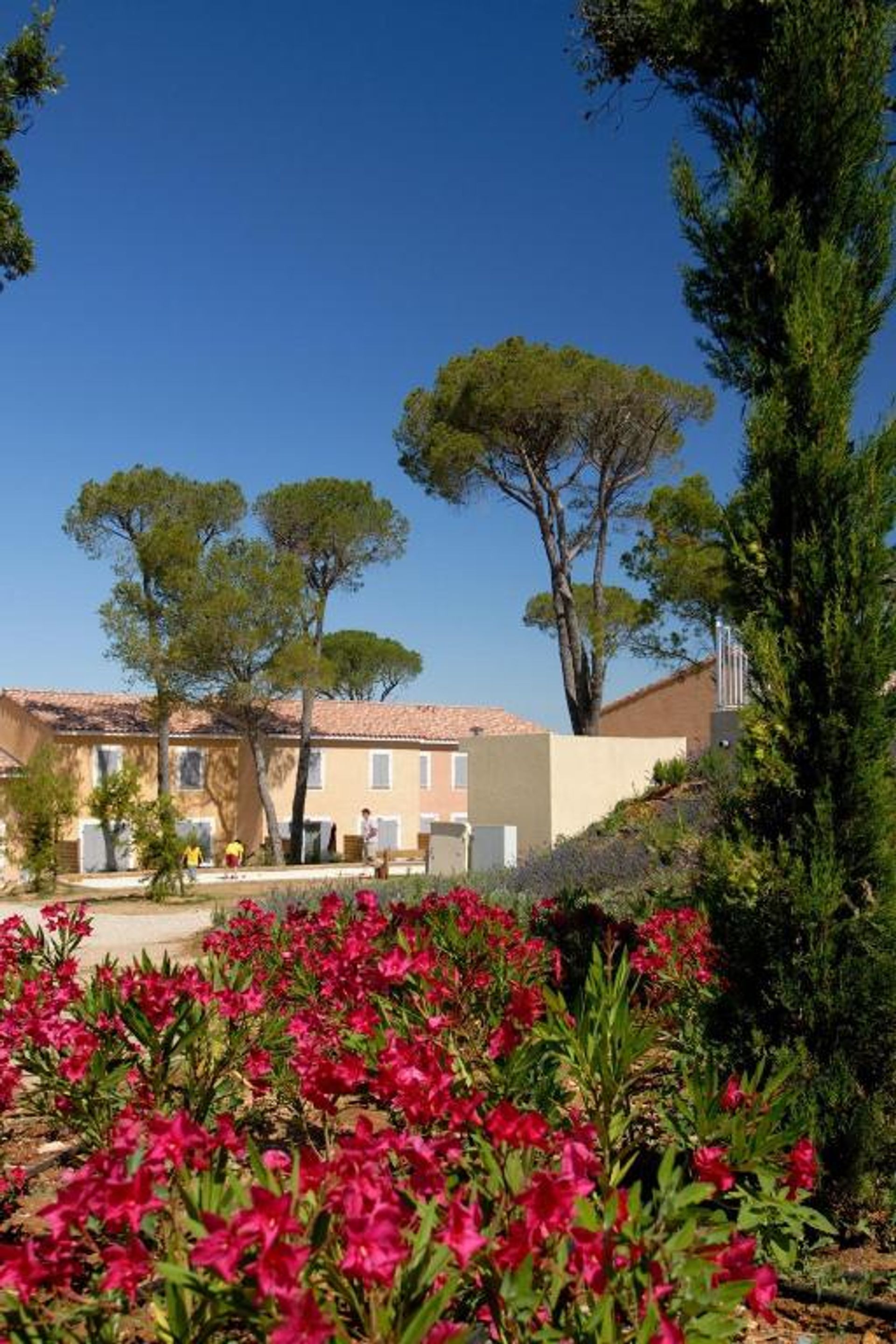 House in Calvisson, Occitanie 12492644