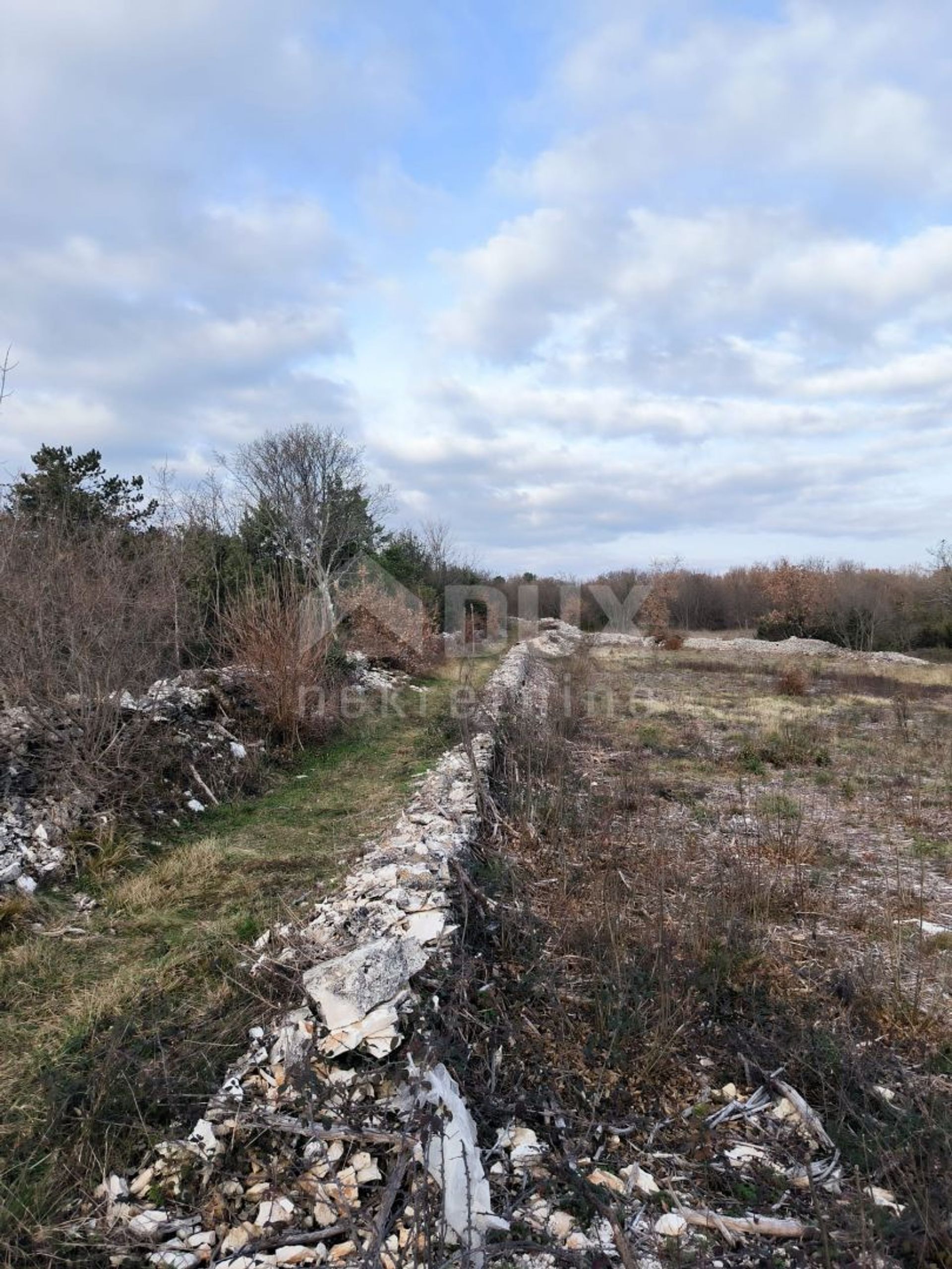 Land im Filipana, Istarska županija 12495859