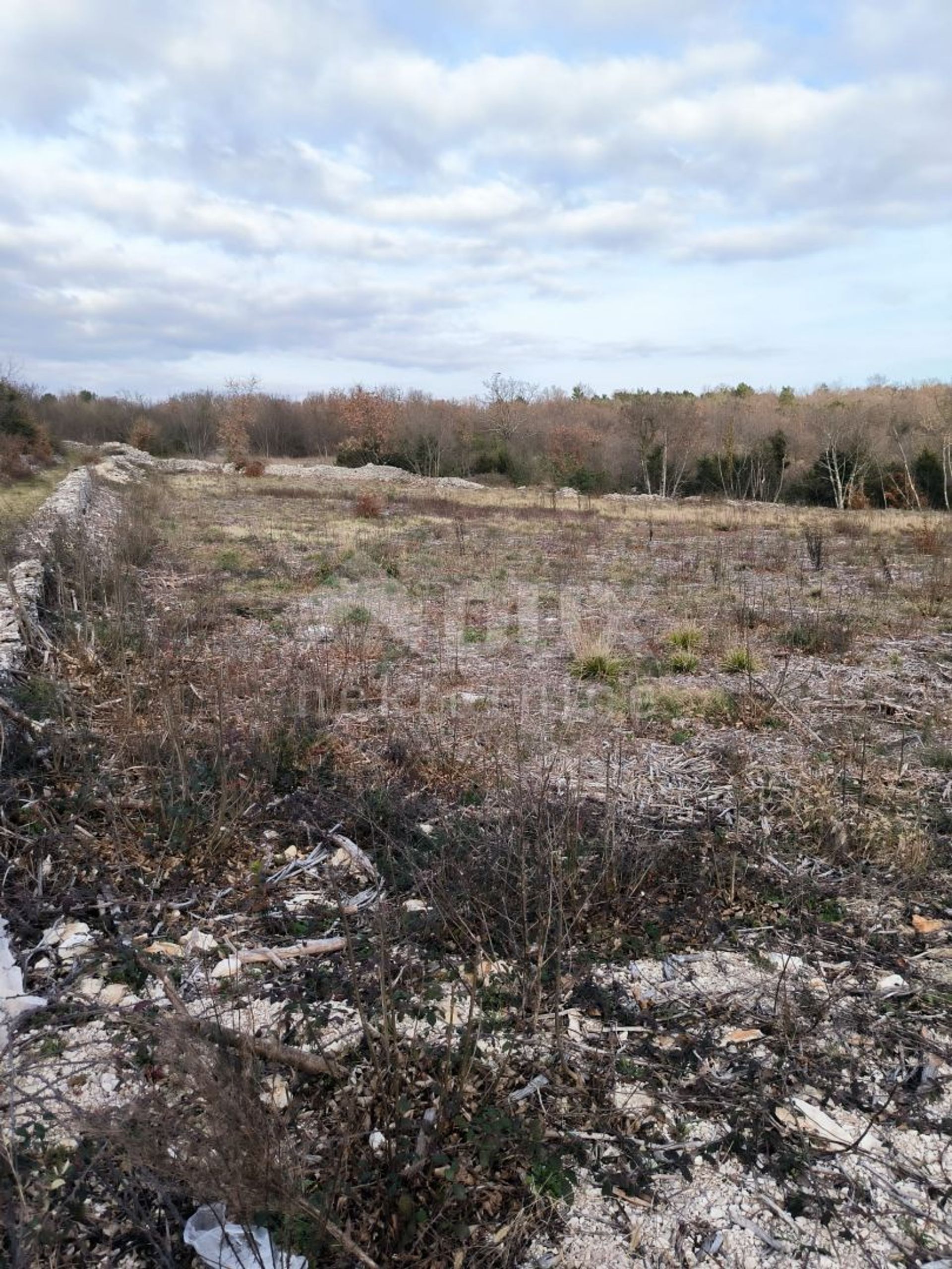 Terra no Filipana, Istarska županija 12495859