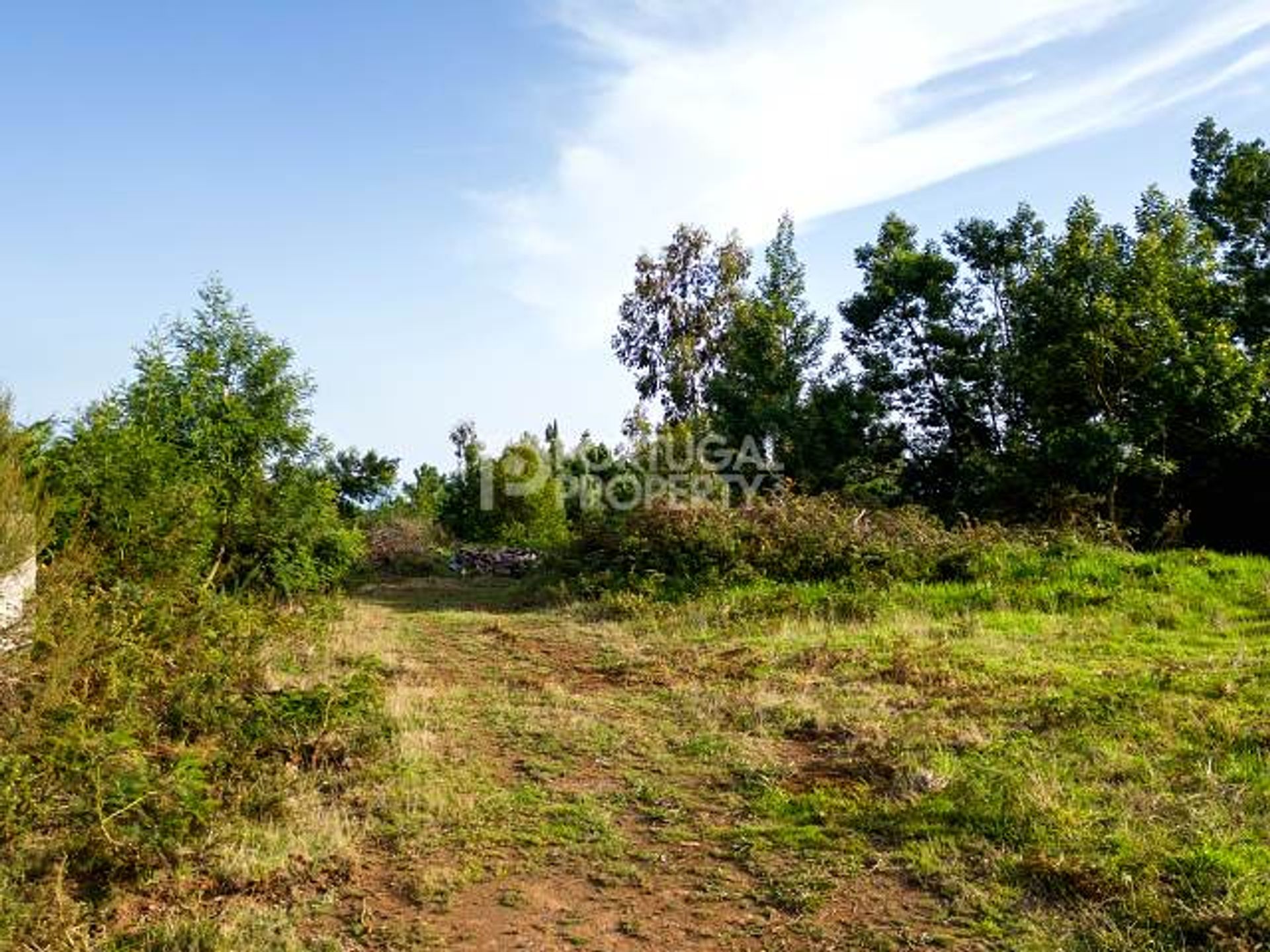 Land in Pinheiro, Madeira 12496994