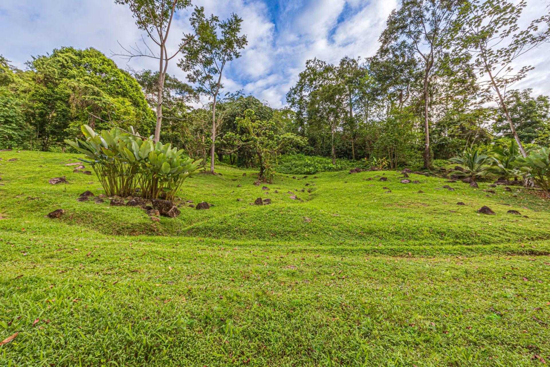 Кондоминиум в Uvita, Puntarenas Province 12498974