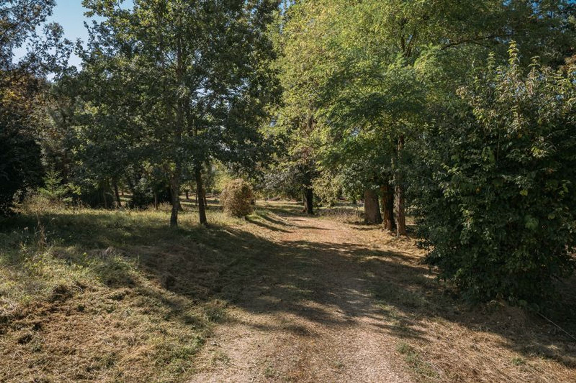 rumah dalam Larroque-sur-l'Osse, Occitanie 12498979