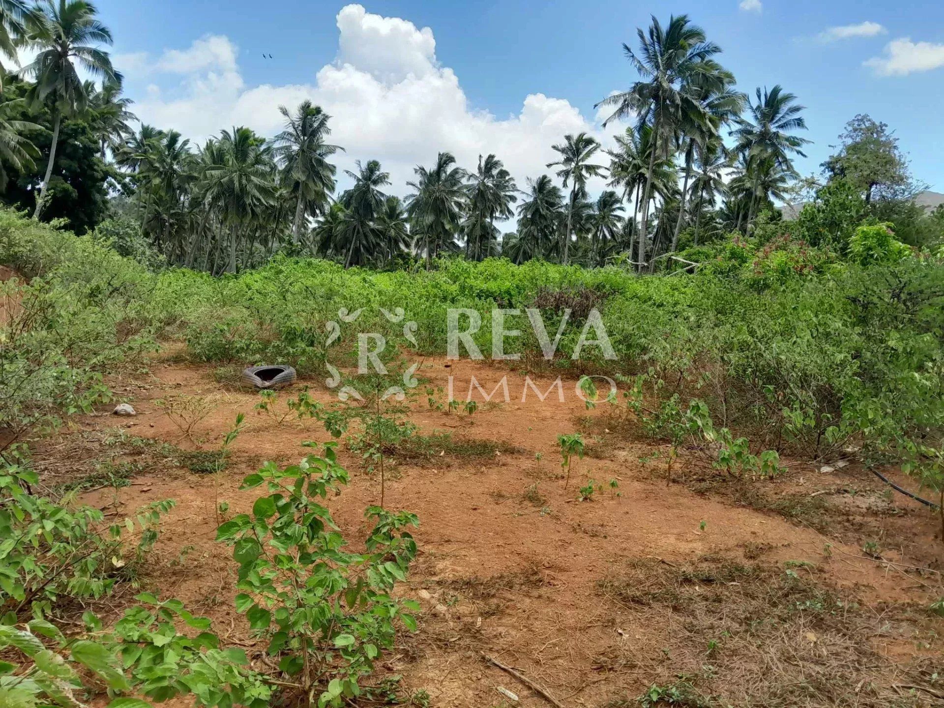 Land in Pohua, Îles du Vent 12498996