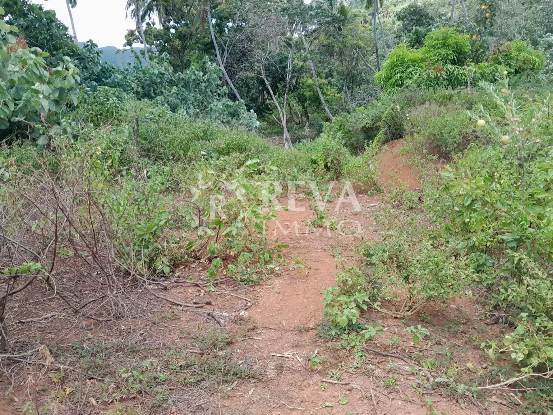 Land in Pohua, Îles du Vent 12498996