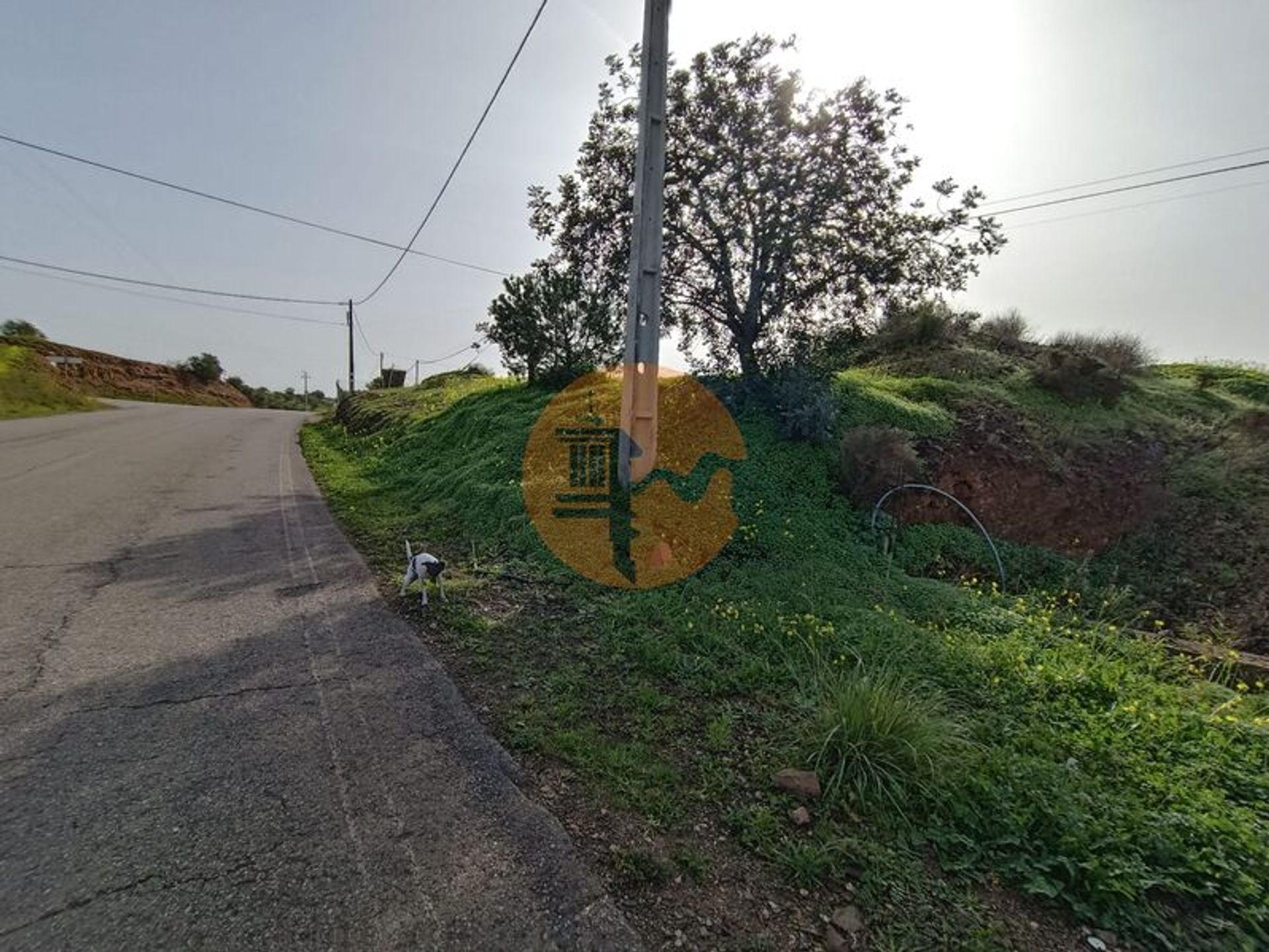 Land i Castro Marim, Faro District 12500536