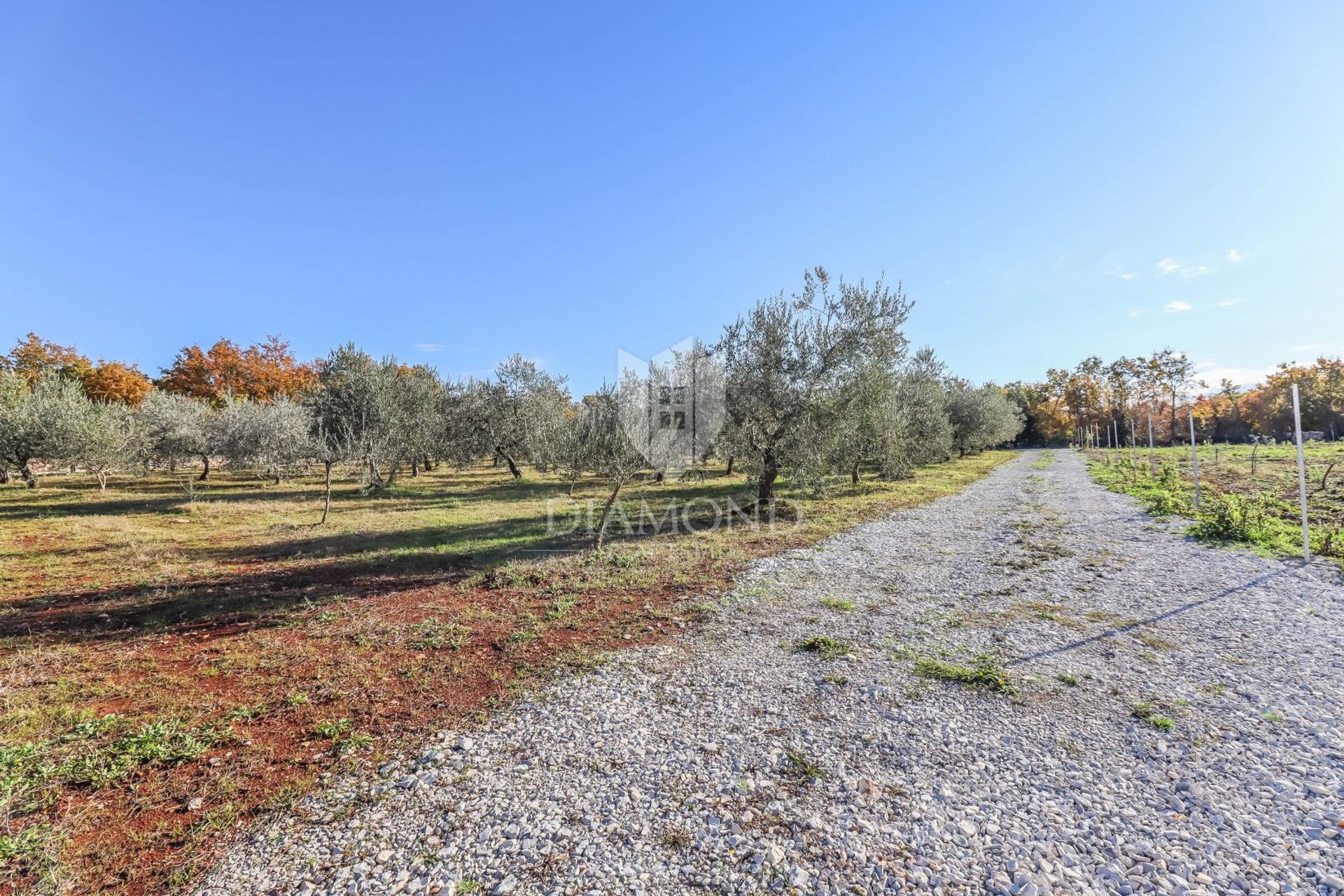 Jord i Bale, Istria County 12500841