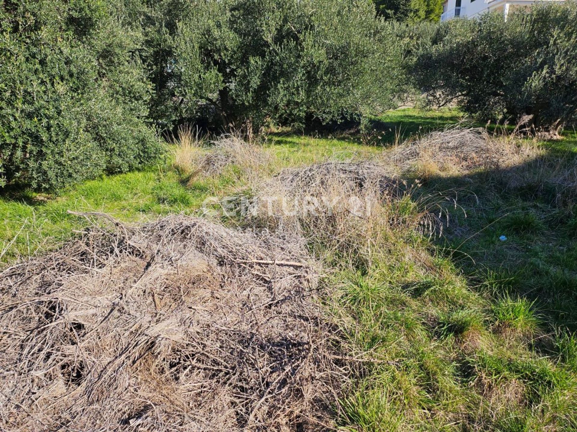 Terre dans Šibenik, Sibensko-Kninska Zupanija 12504482