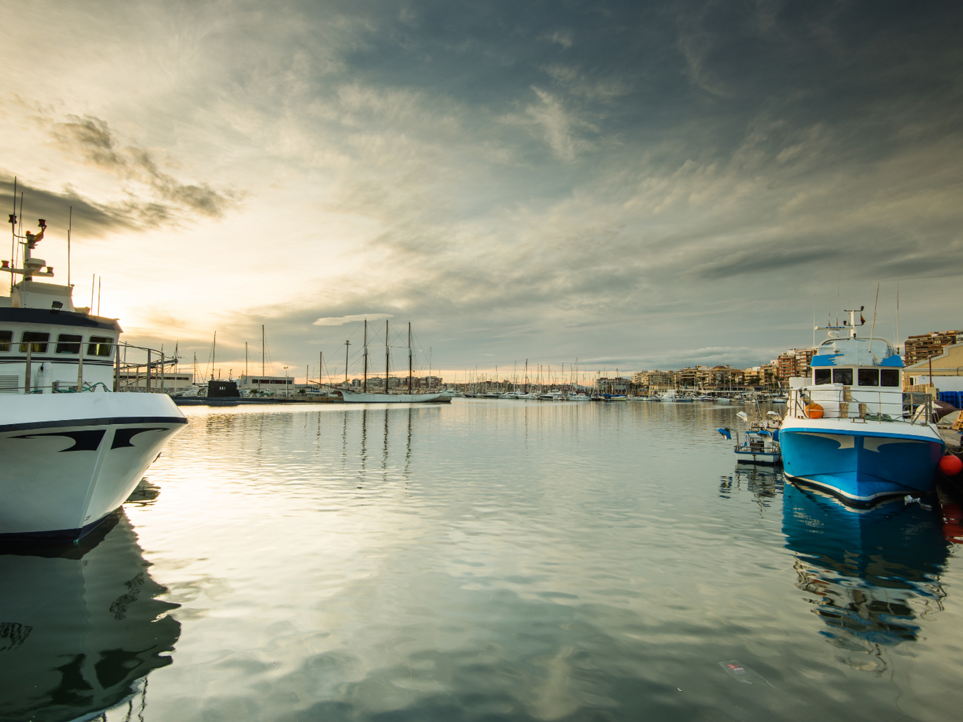 सम्मिलित में Torrevieja, Comunidad Valenciana 12505273