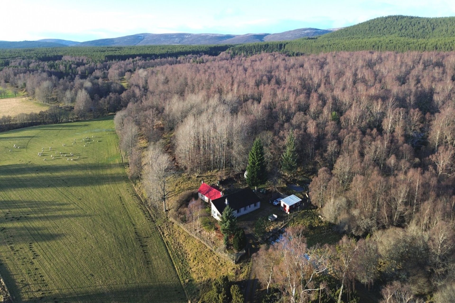 Συγκυριαρχία σε , Scotland 12506140