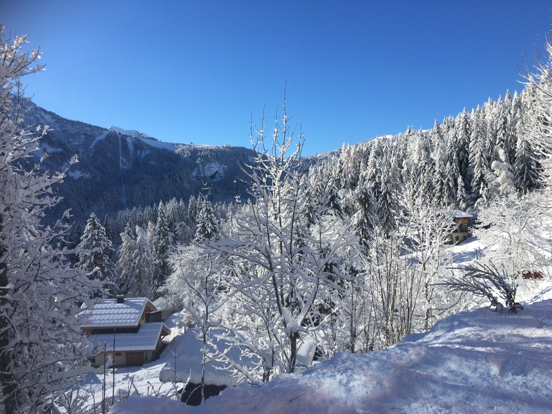 Annen i Les Houches, Auvergne-Rhône-Alpes 12506501