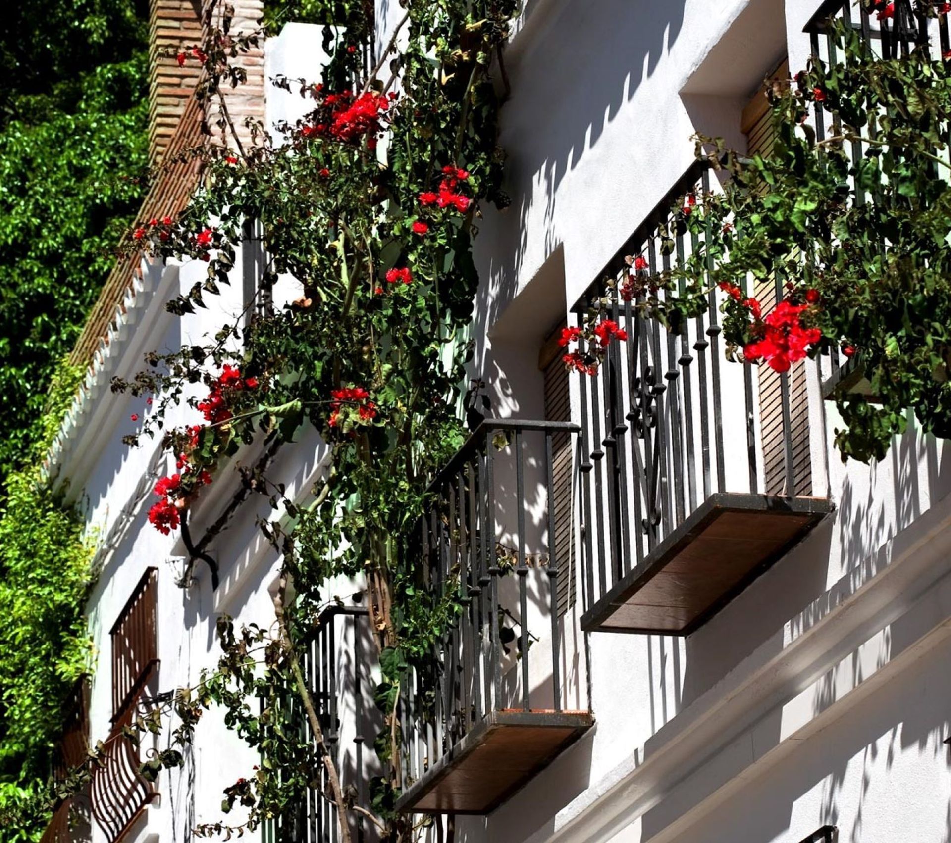 عمارات في Benahavís, Andalucía 12506541