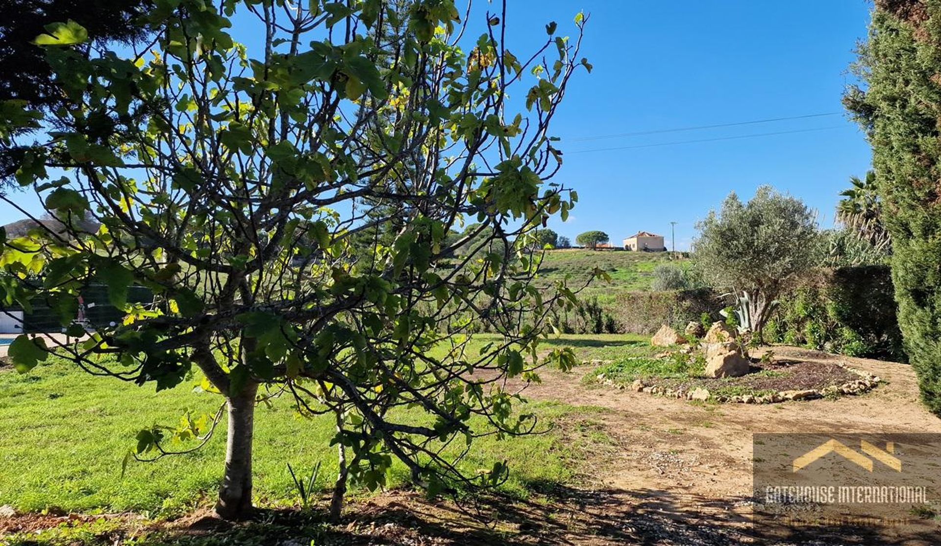 Land im Carvoeiro, Faro District 12507654