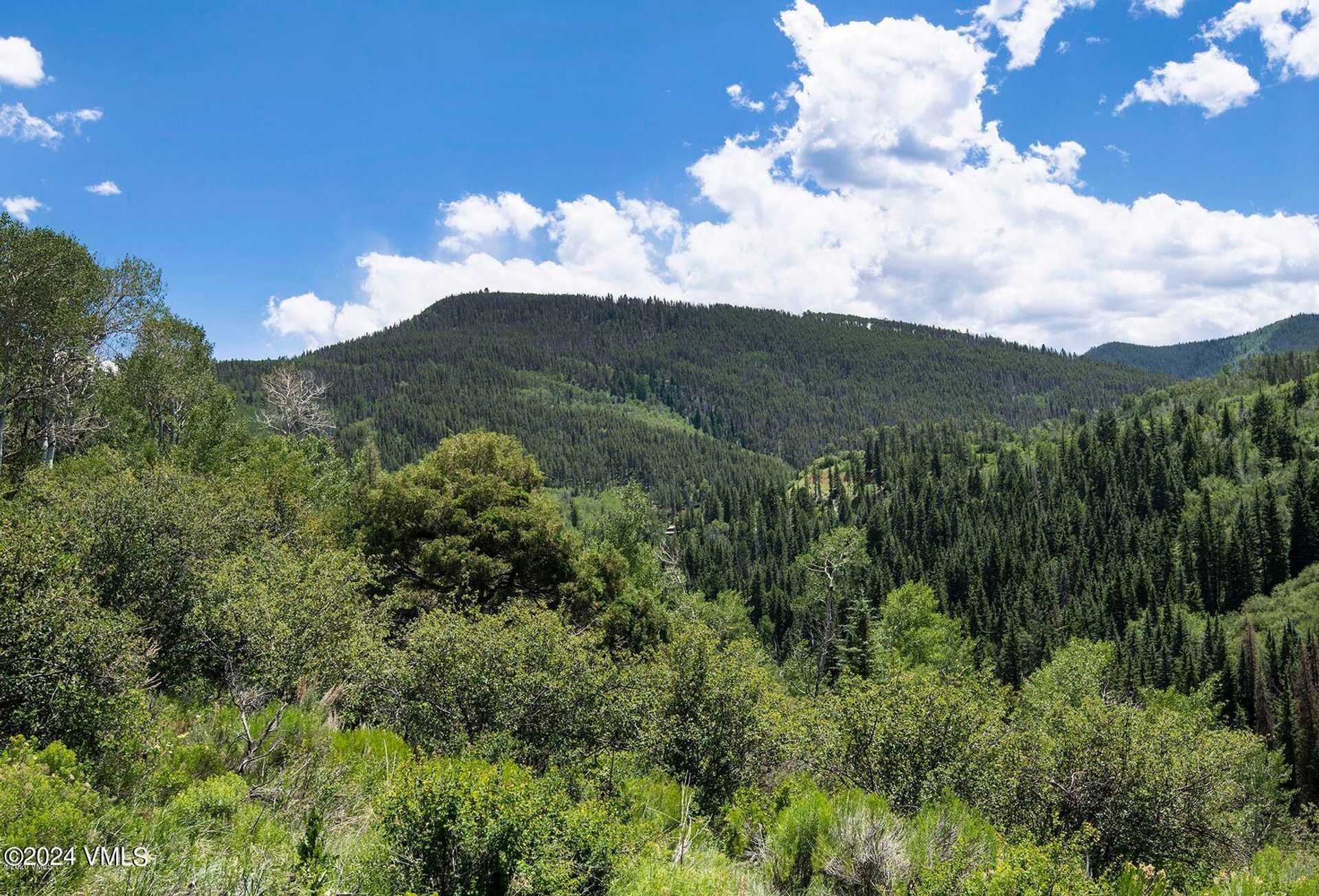 土地 在 Edwards, Colorado 12507694