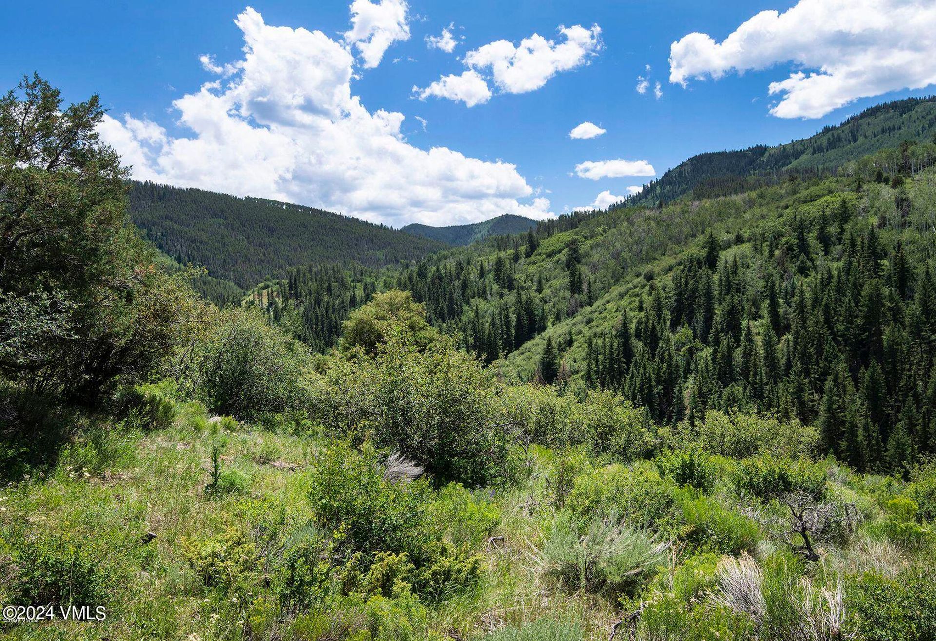 土地 在 Edwards, Colorado 12507694