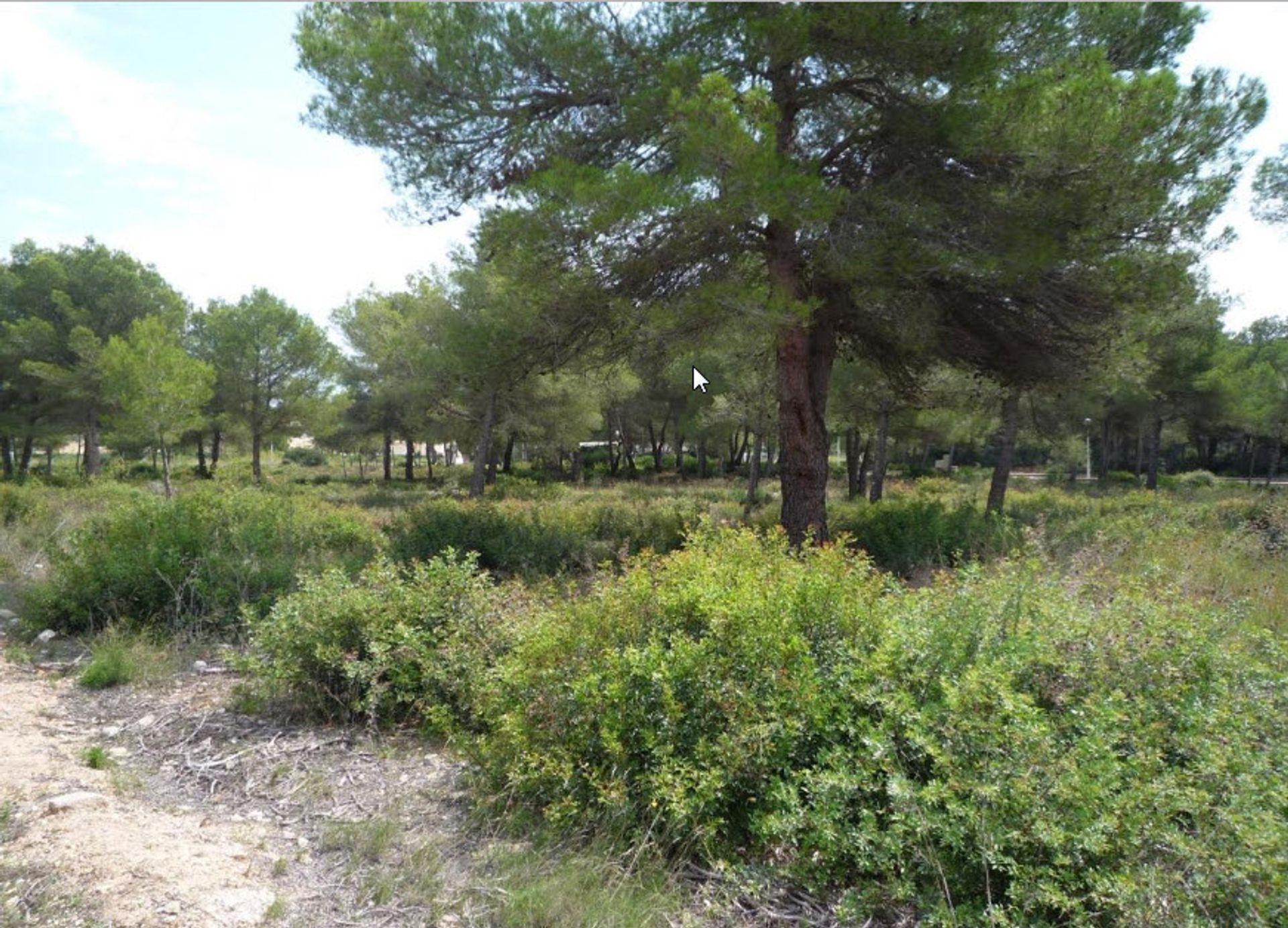 Land in Xàbia, Valencian Community 12508192