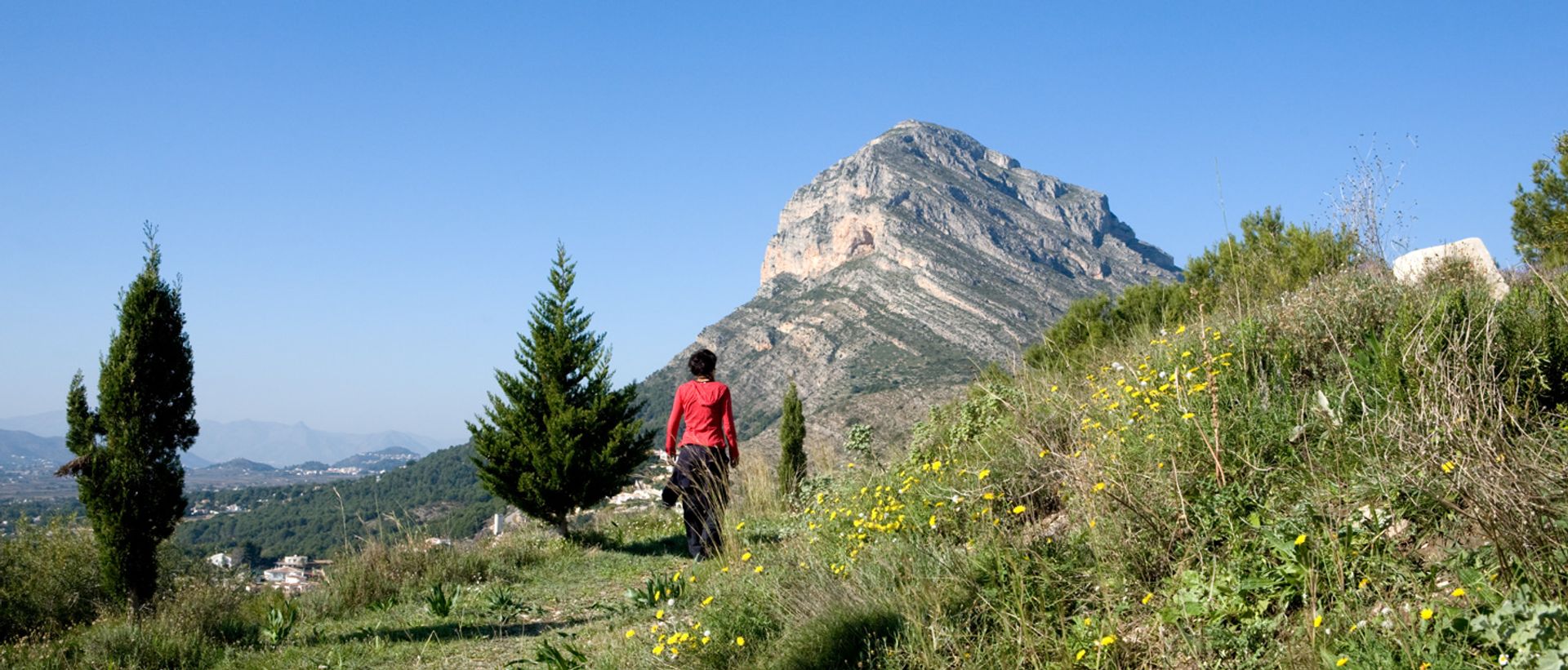 Land i Javea, Valencia 12508196