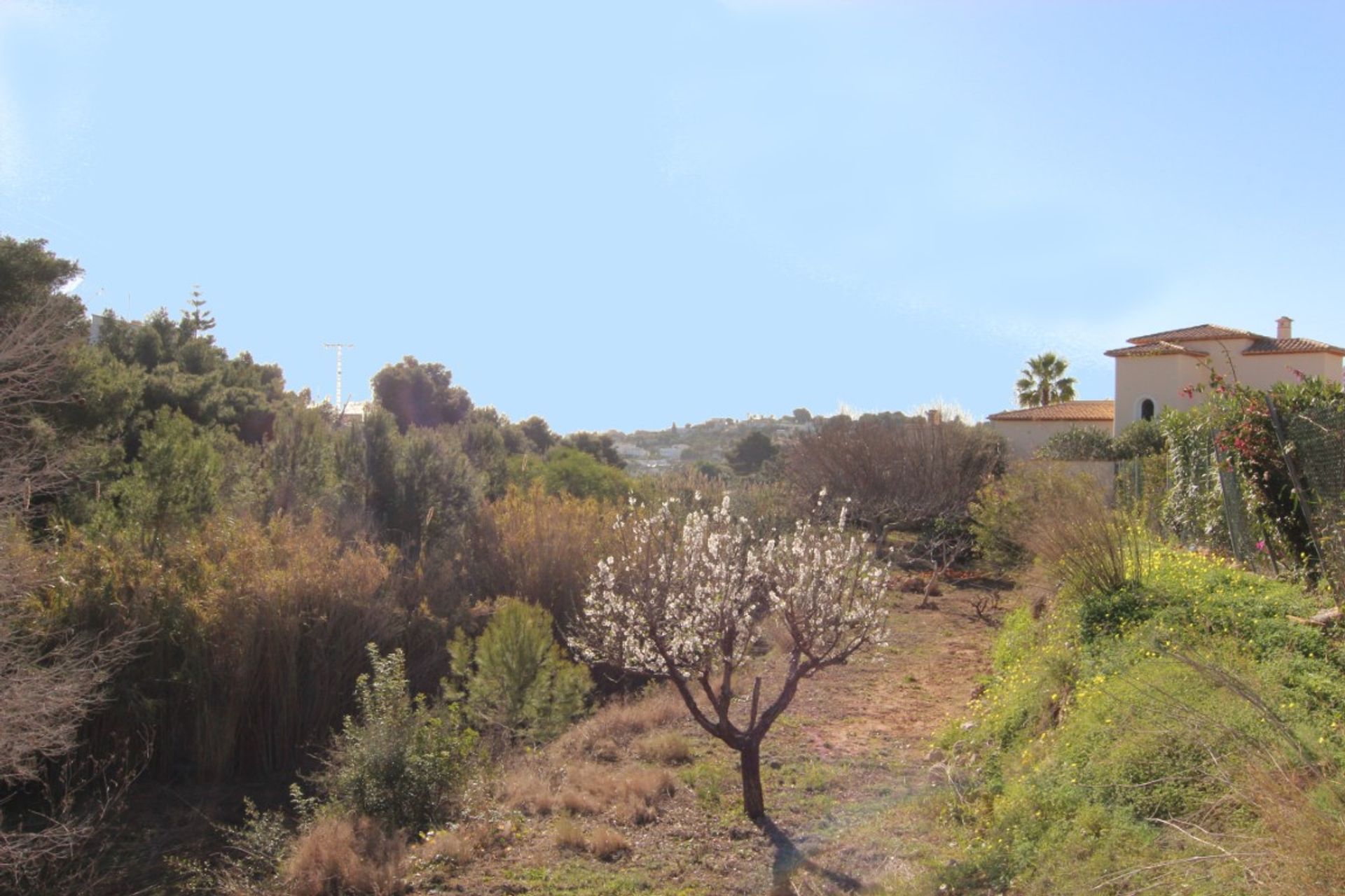 Tierra en Benissa, Comunitat Valenciana 12508198