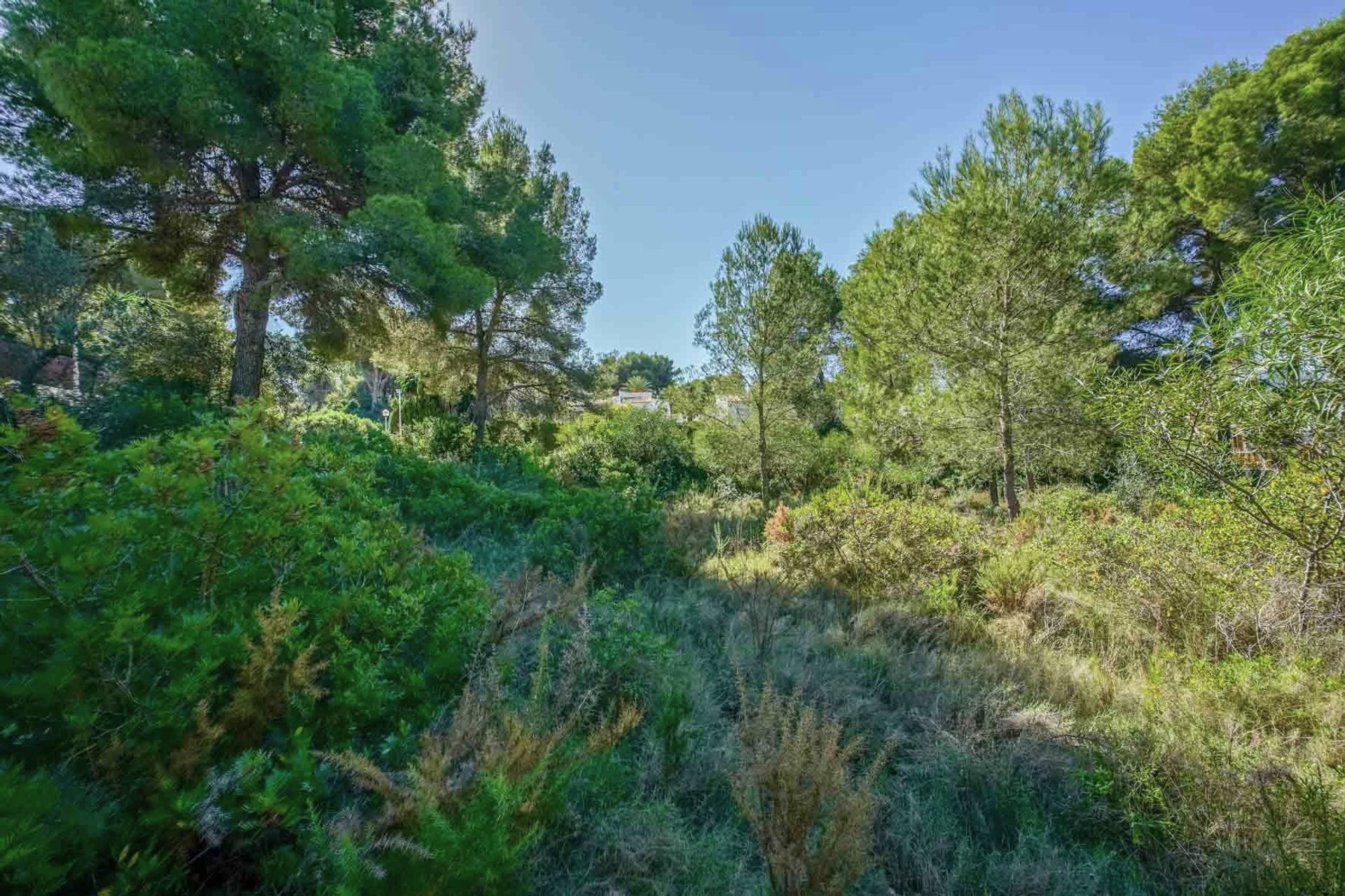 Land in Xàbia, Valencian Community 12508252