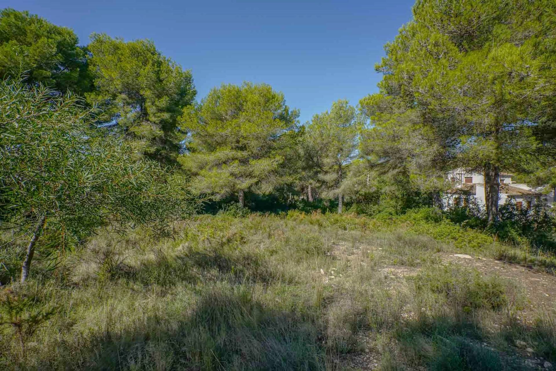 Land in Xàbia, Valencian Community 12508252