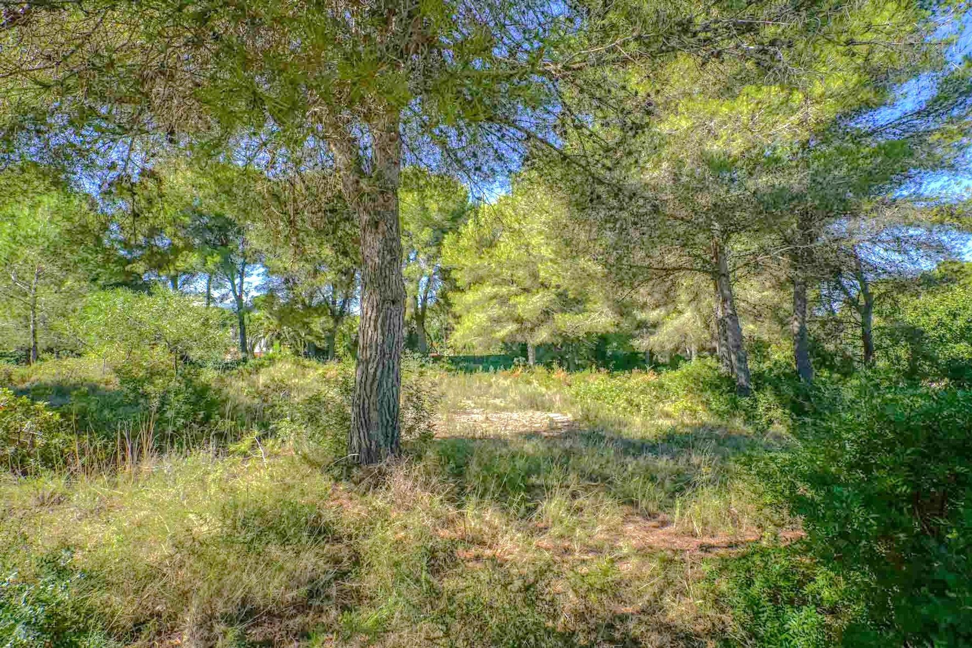 Land in Javea, Valencia 12508252