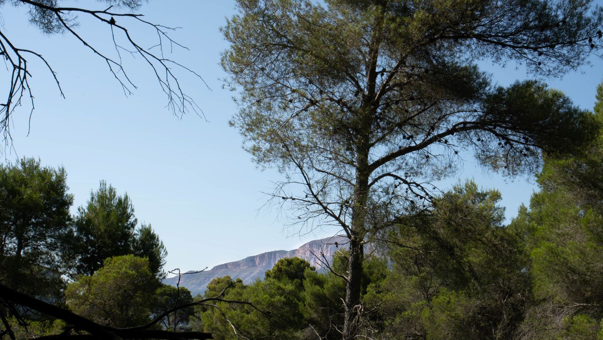 Tierra en Jávea, Valencia 12508299