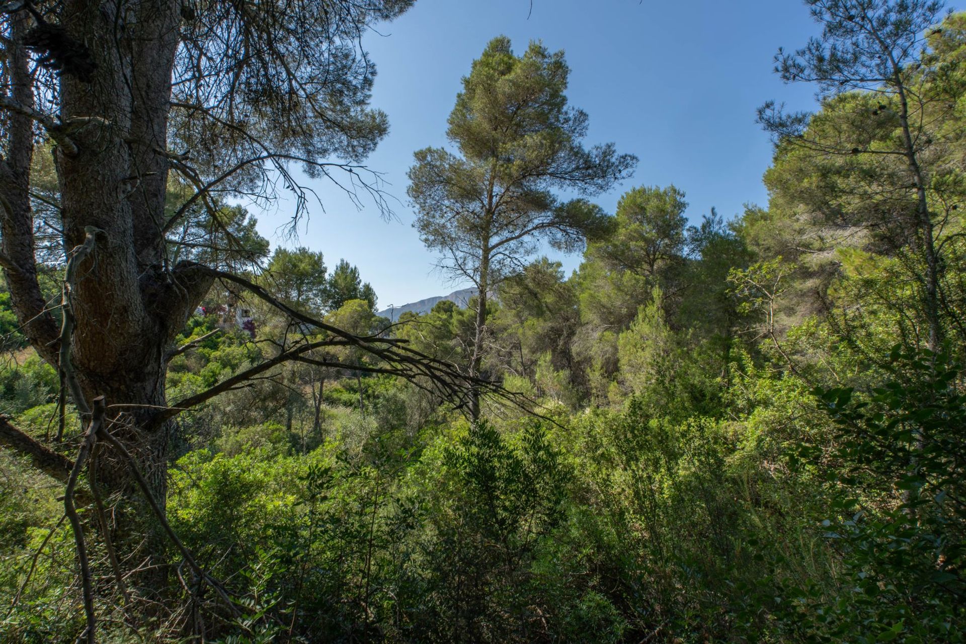 Tierra en Jávea, Valencia 12508299