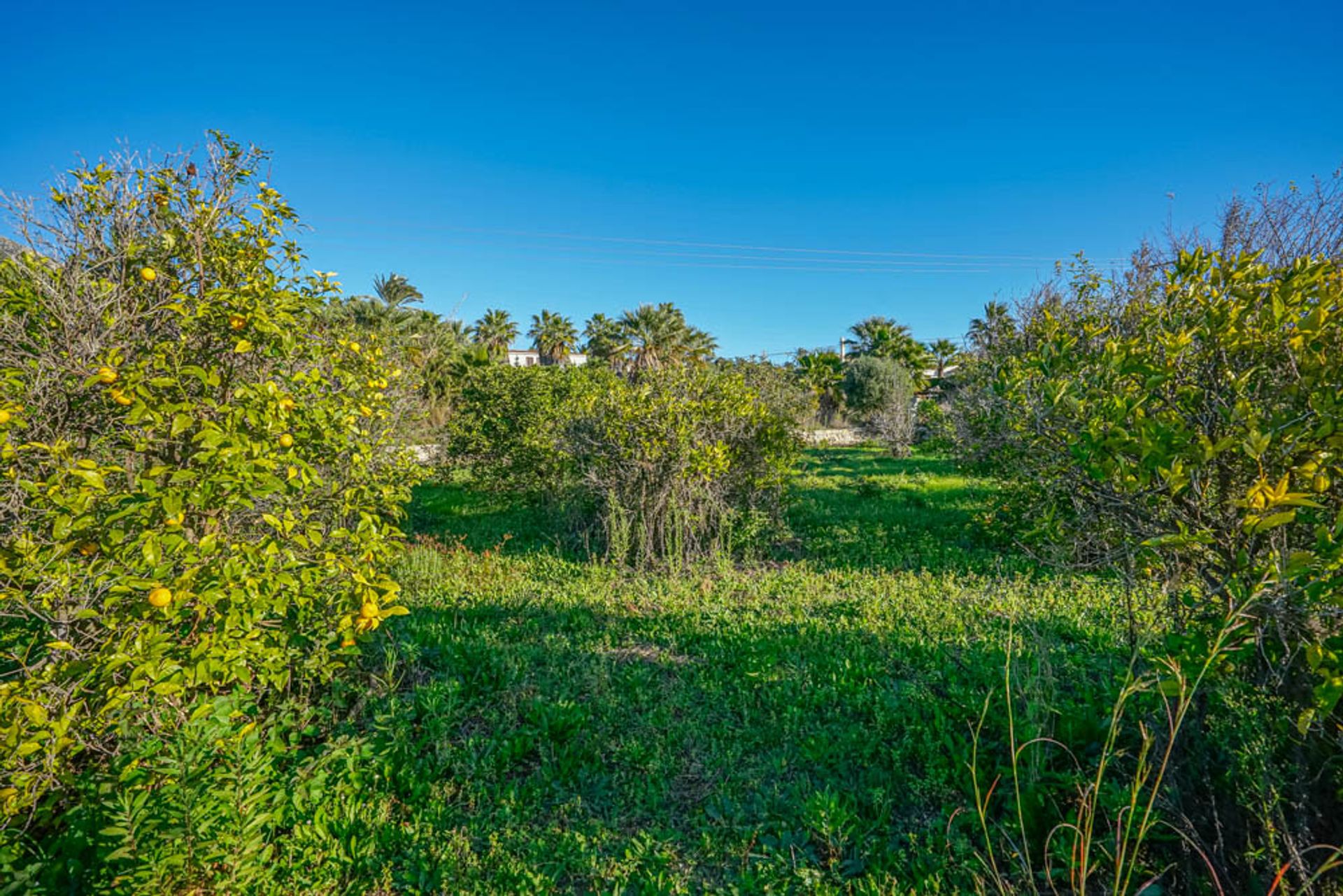 Tanah dalam Xàbia, Valencian Community 12508322