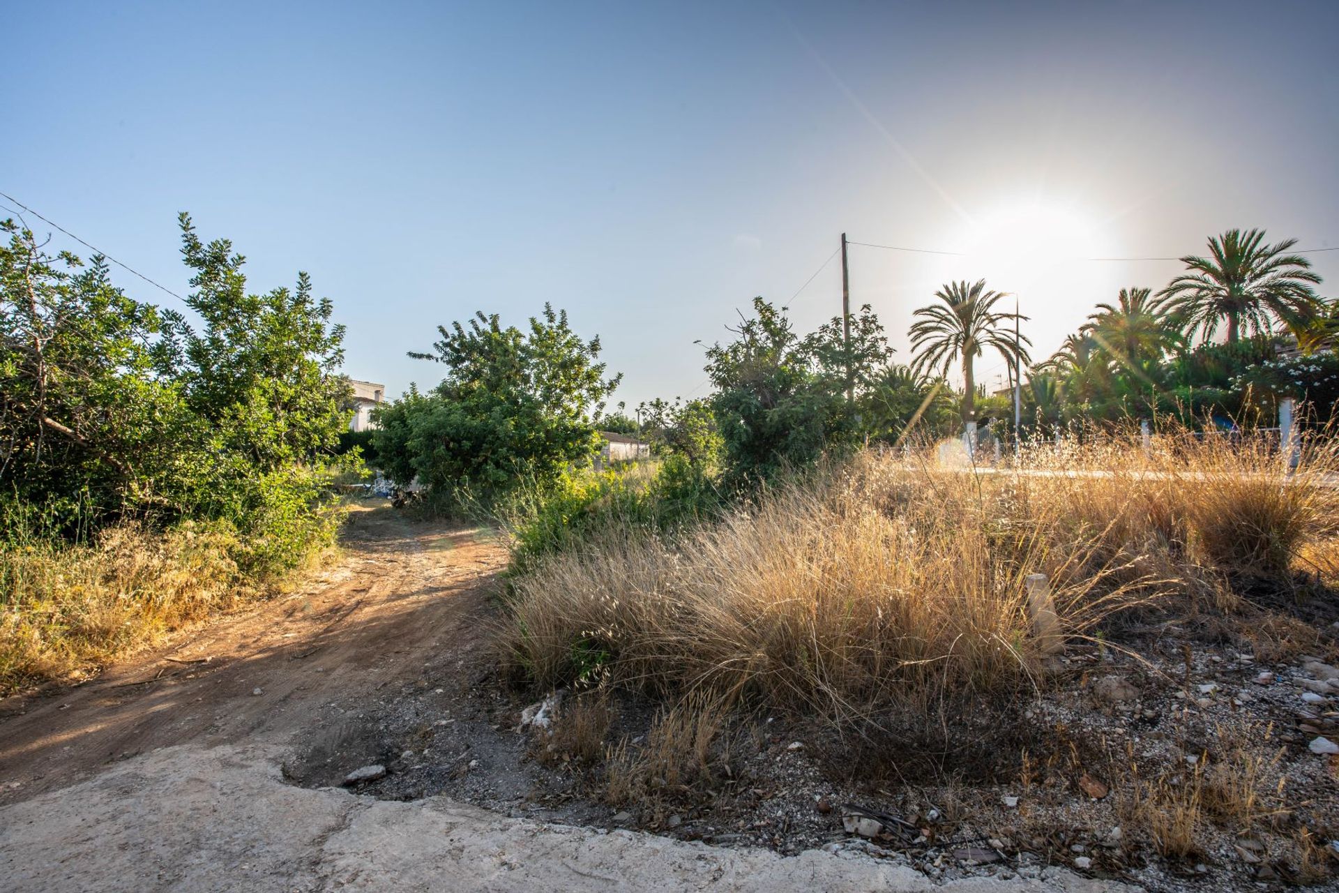 Land i Javea, Valencia 12508335