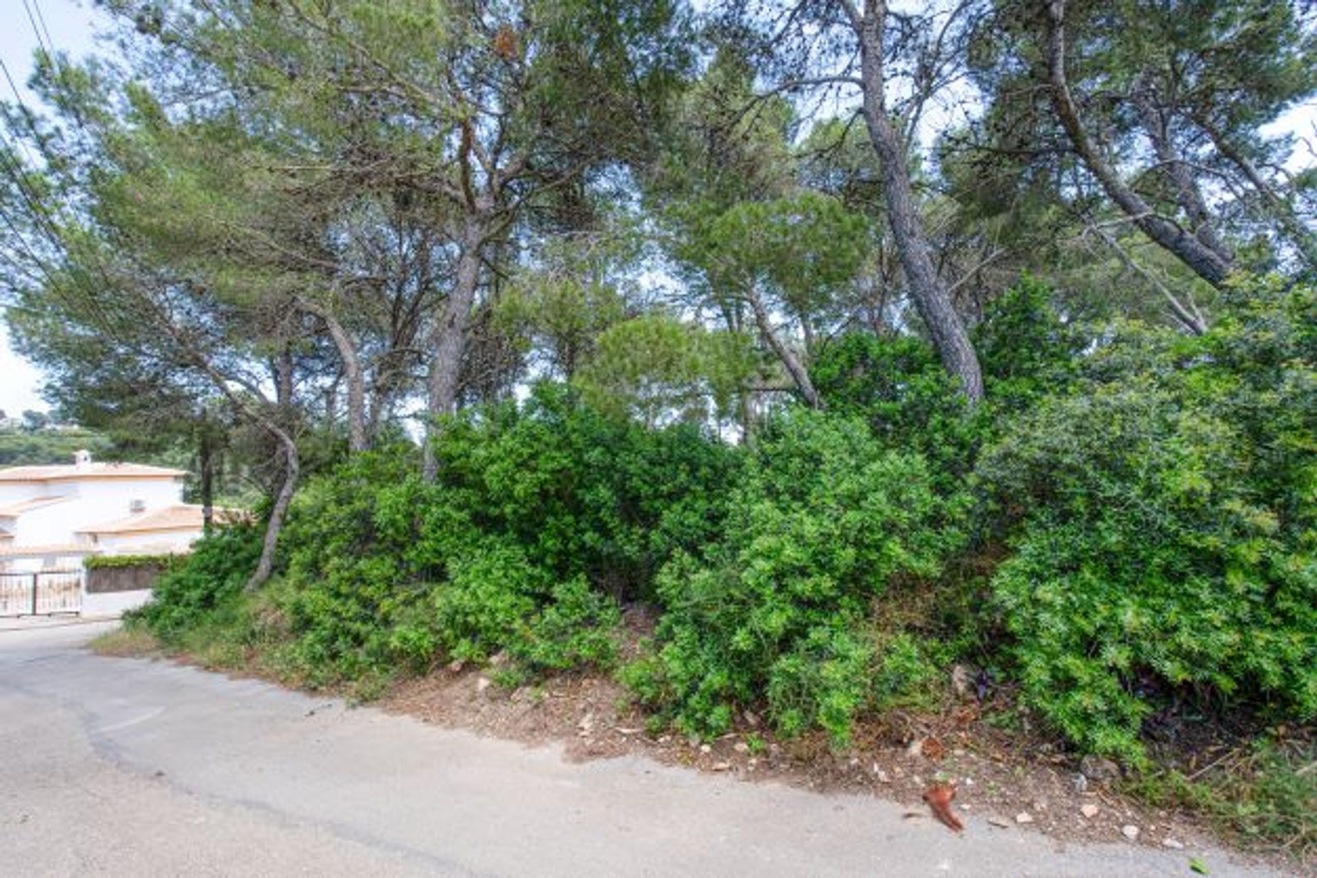 Land i Javea, Valencia 12508353