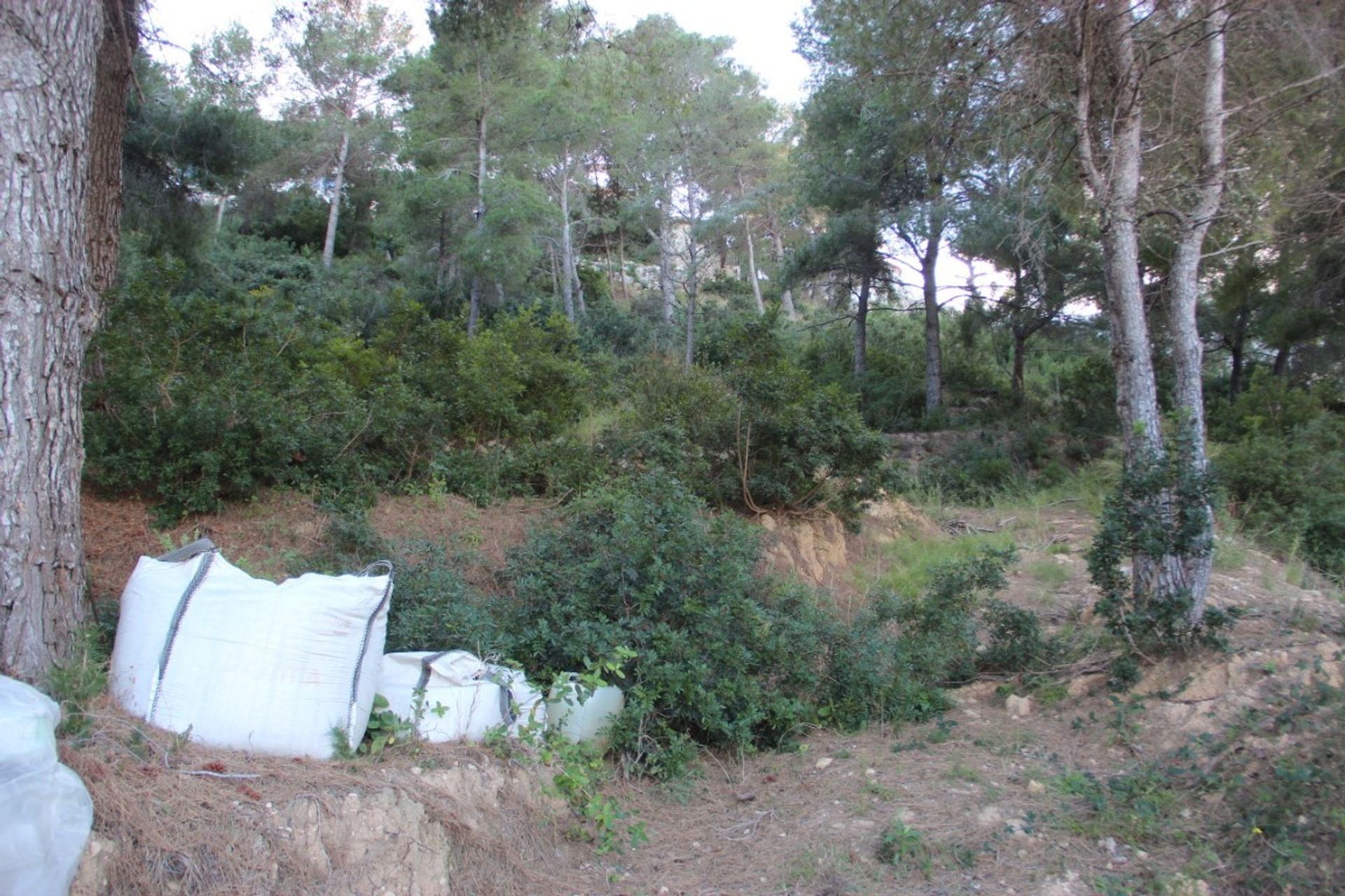 Land in Xàbia, Valencian Community 12508411