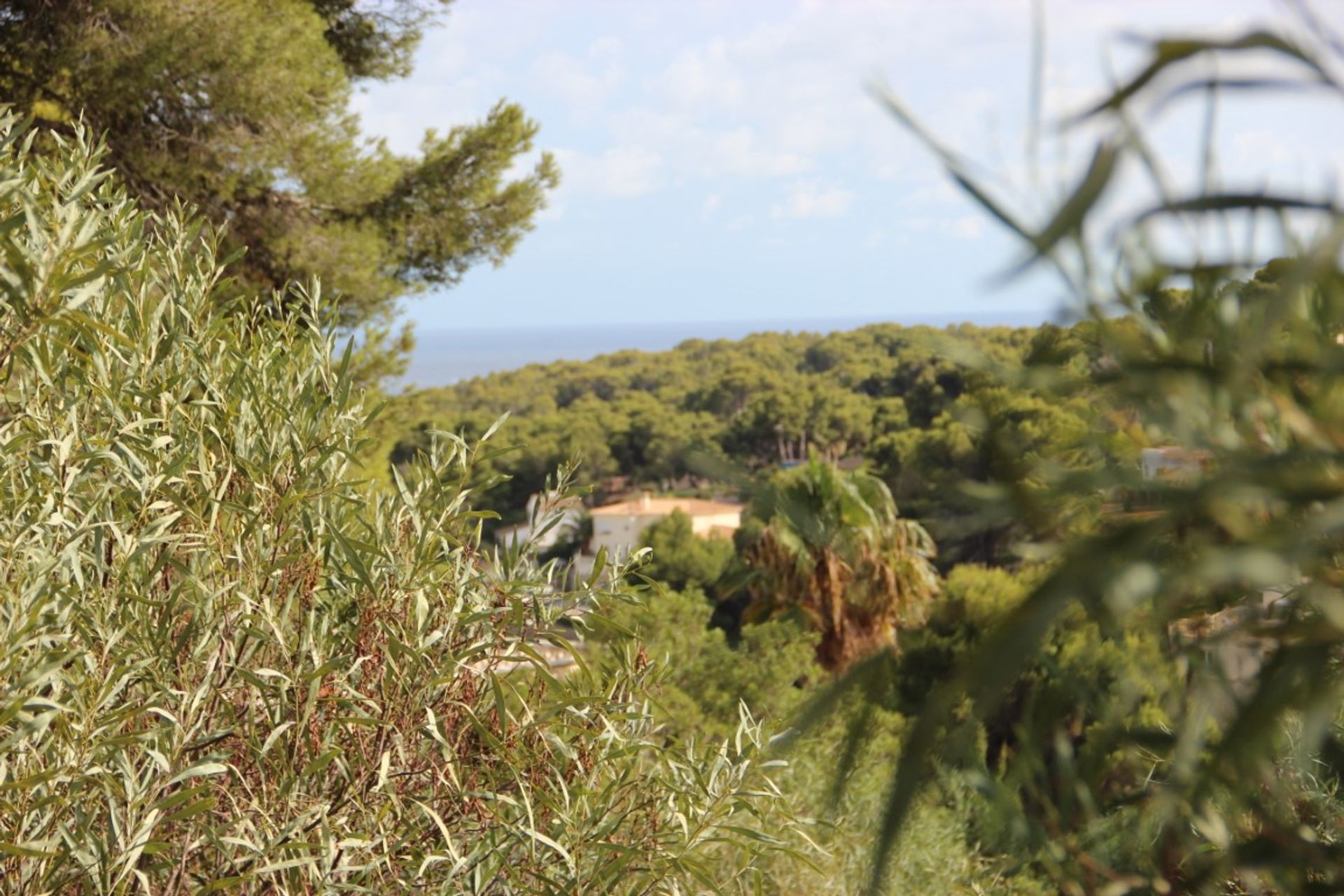 Land in Benissa, Comunitat Valenciana 12508425