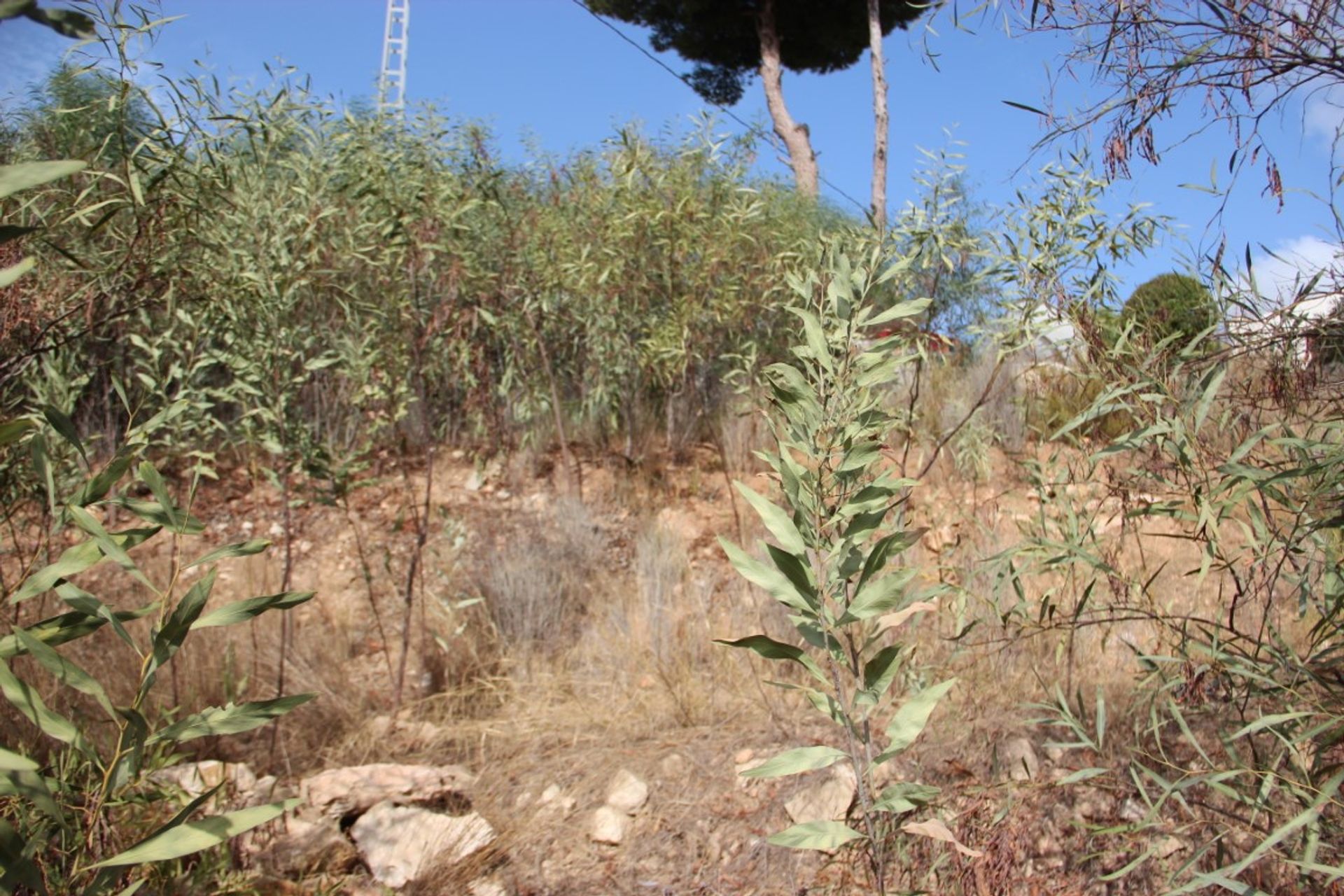 Land in Benissa, Comunitat Valenciana 12508425