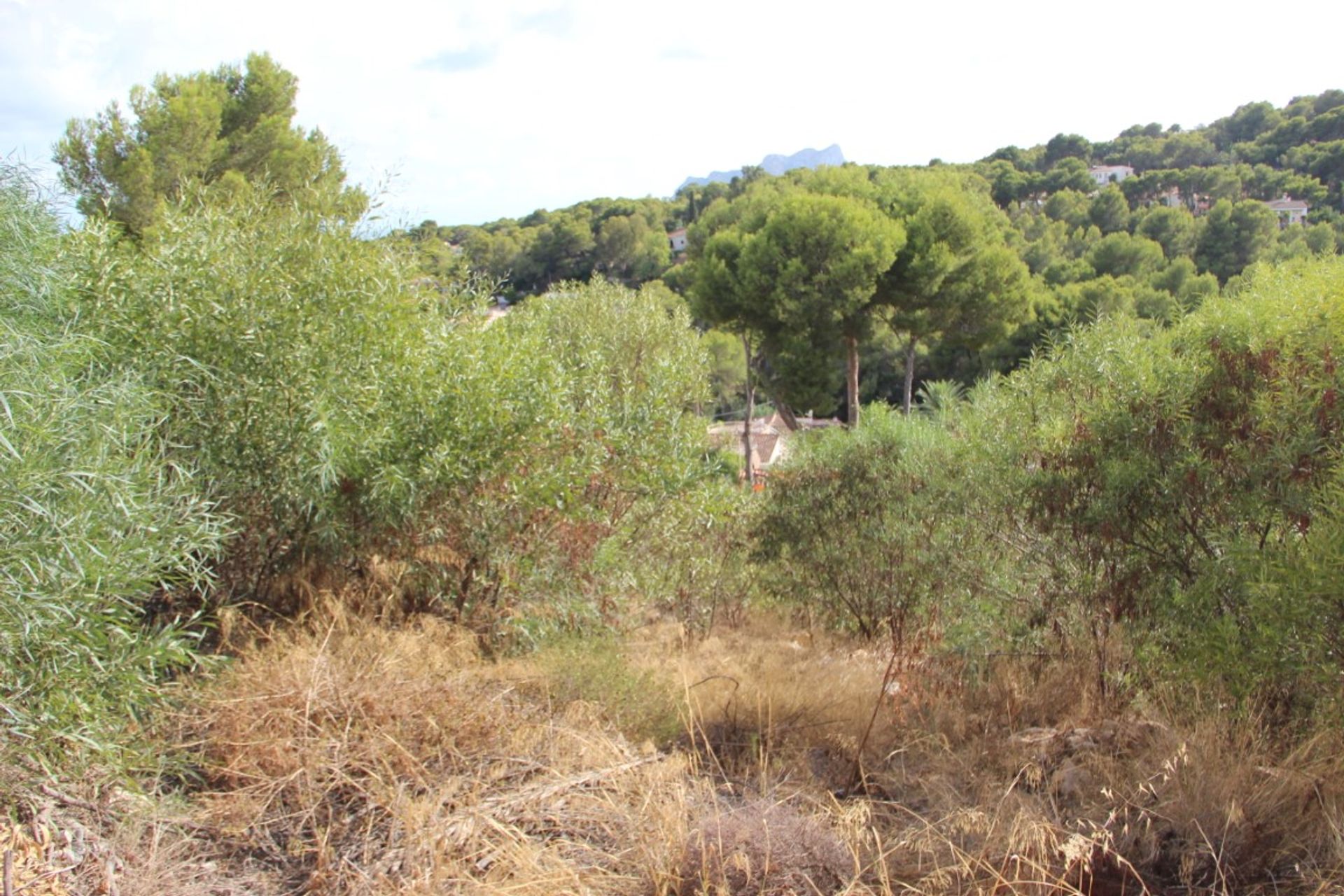 Land in Benissa, Comunitat Valenciana 12508425