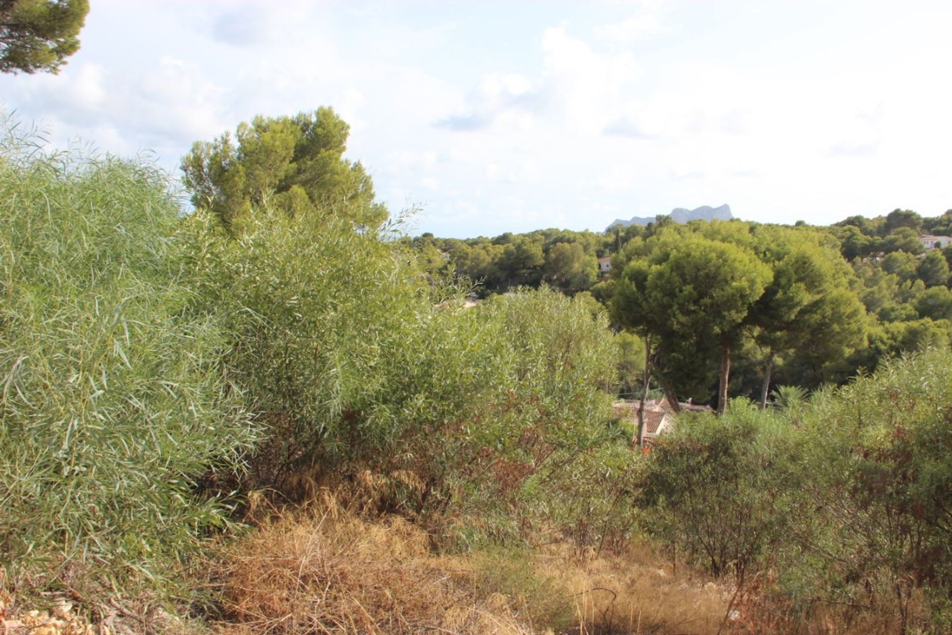 Land in Benissa, Comunitat Valenciana 12508425