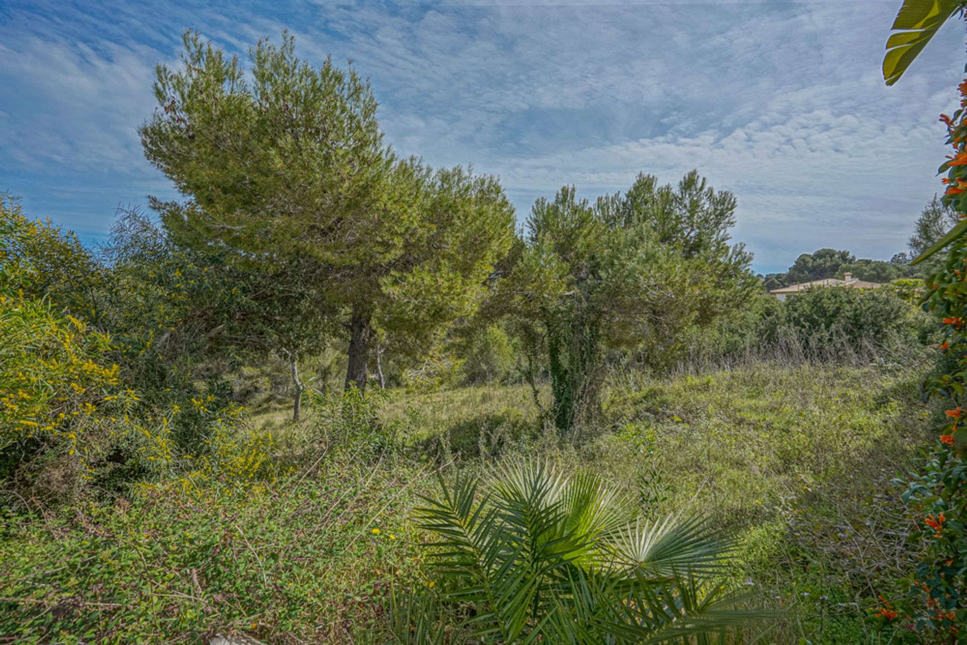 Terra no Xàbia, Valencian Community 12508607