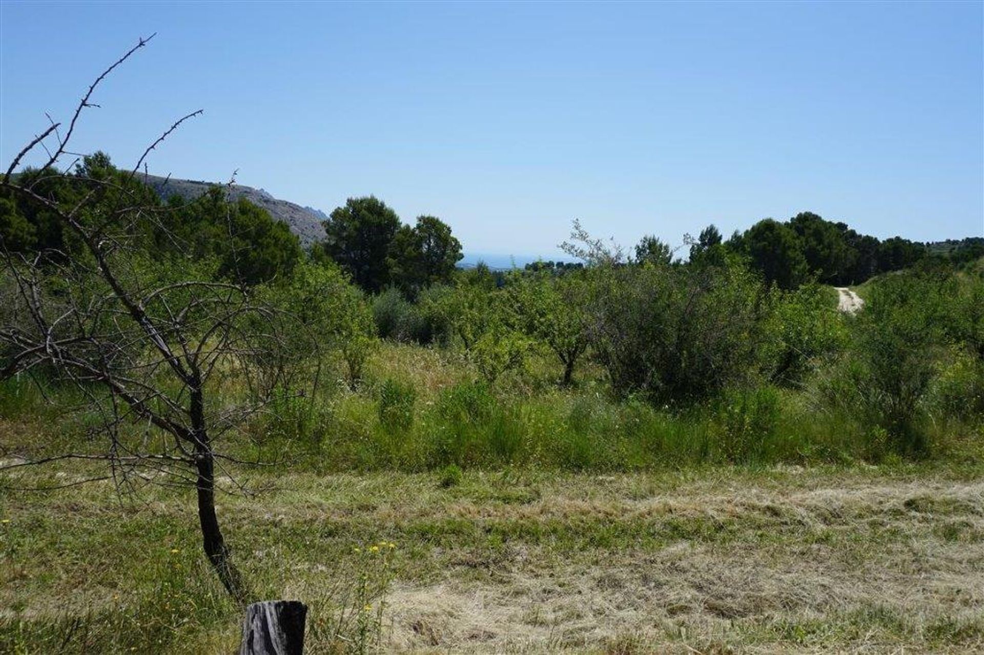 rumah dalam El Castell de Guadalest, Valencian Community 12508608