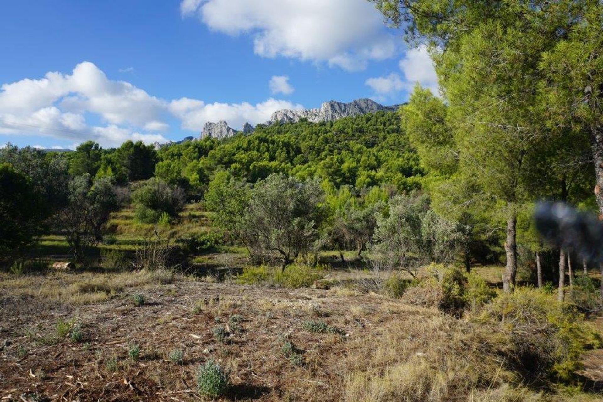 rumah dalam El Castell de Guadalest, Valencian Community 12508608