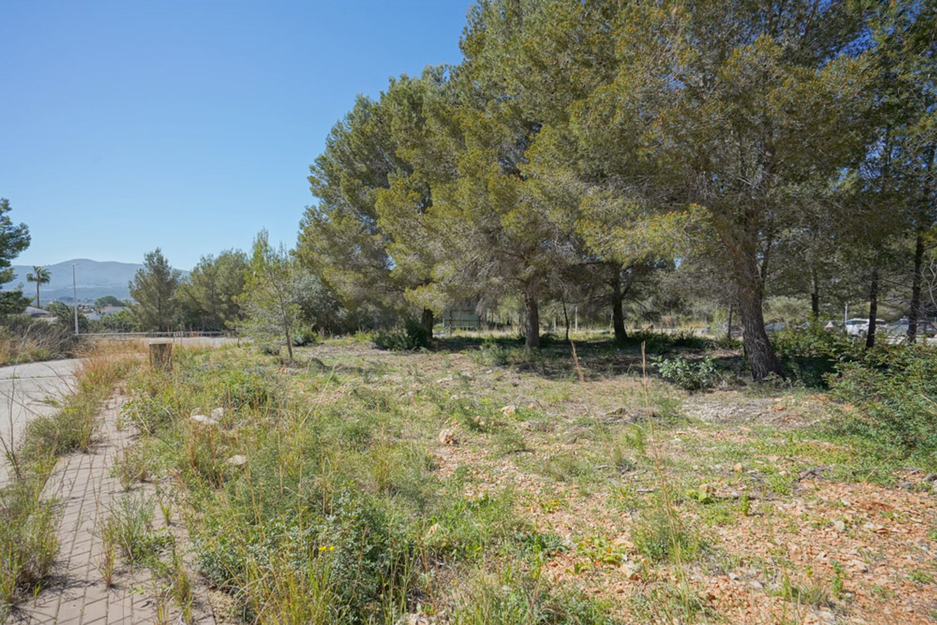 الأرض في Xàbia, Valencian Community 12508609