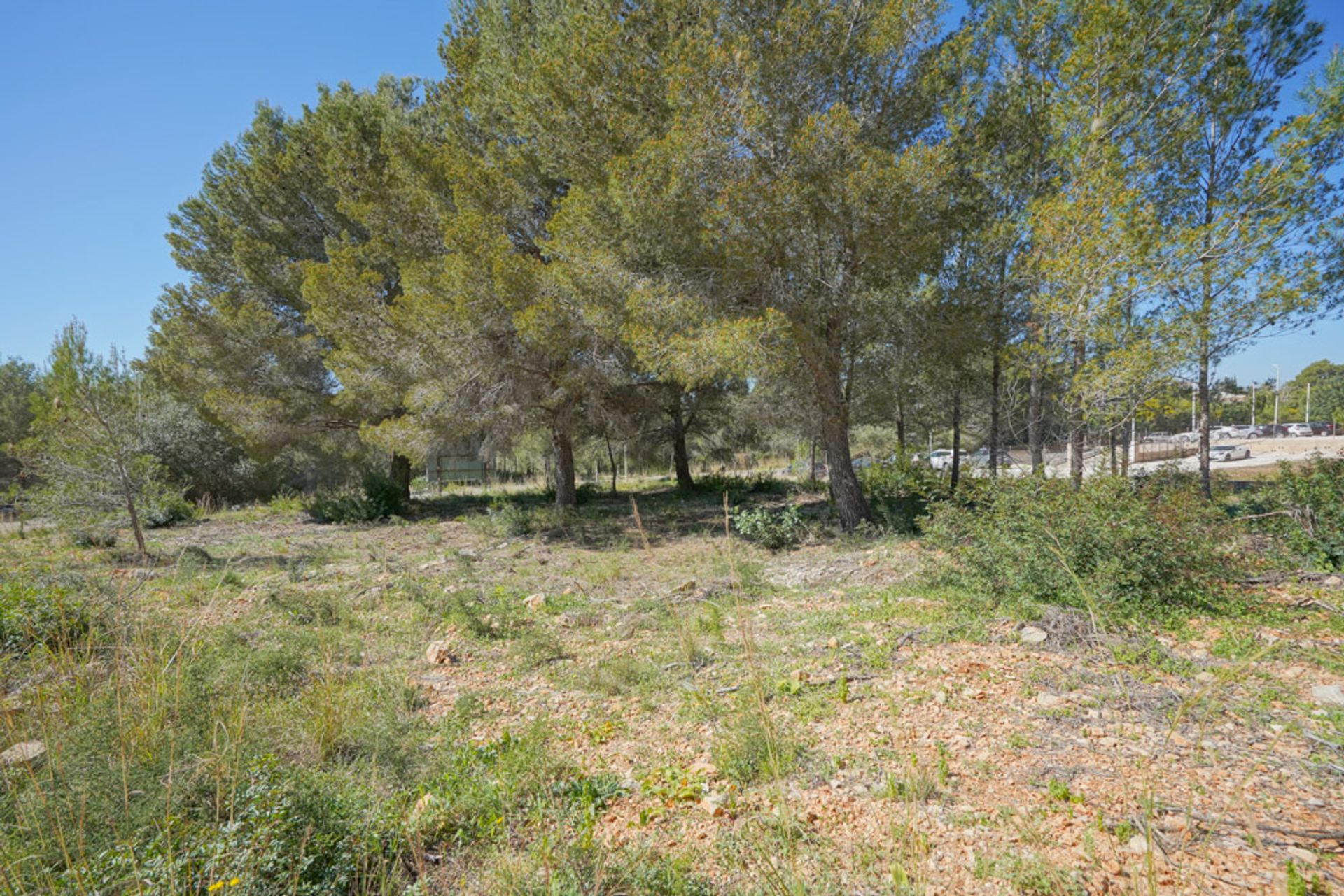 Land i Xàbia, Valencian Community 12508609