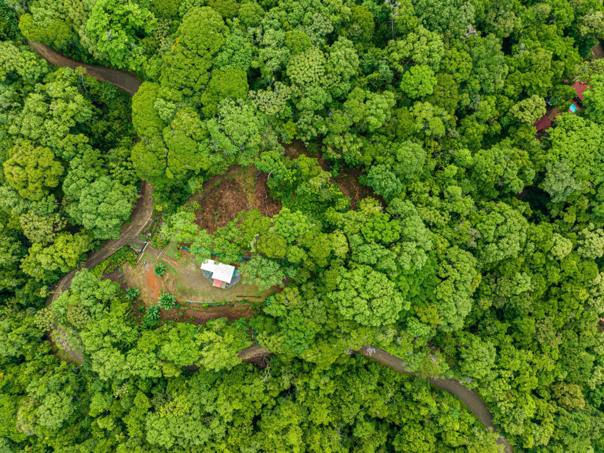 Rumah di , Puntarenas Province 12508762