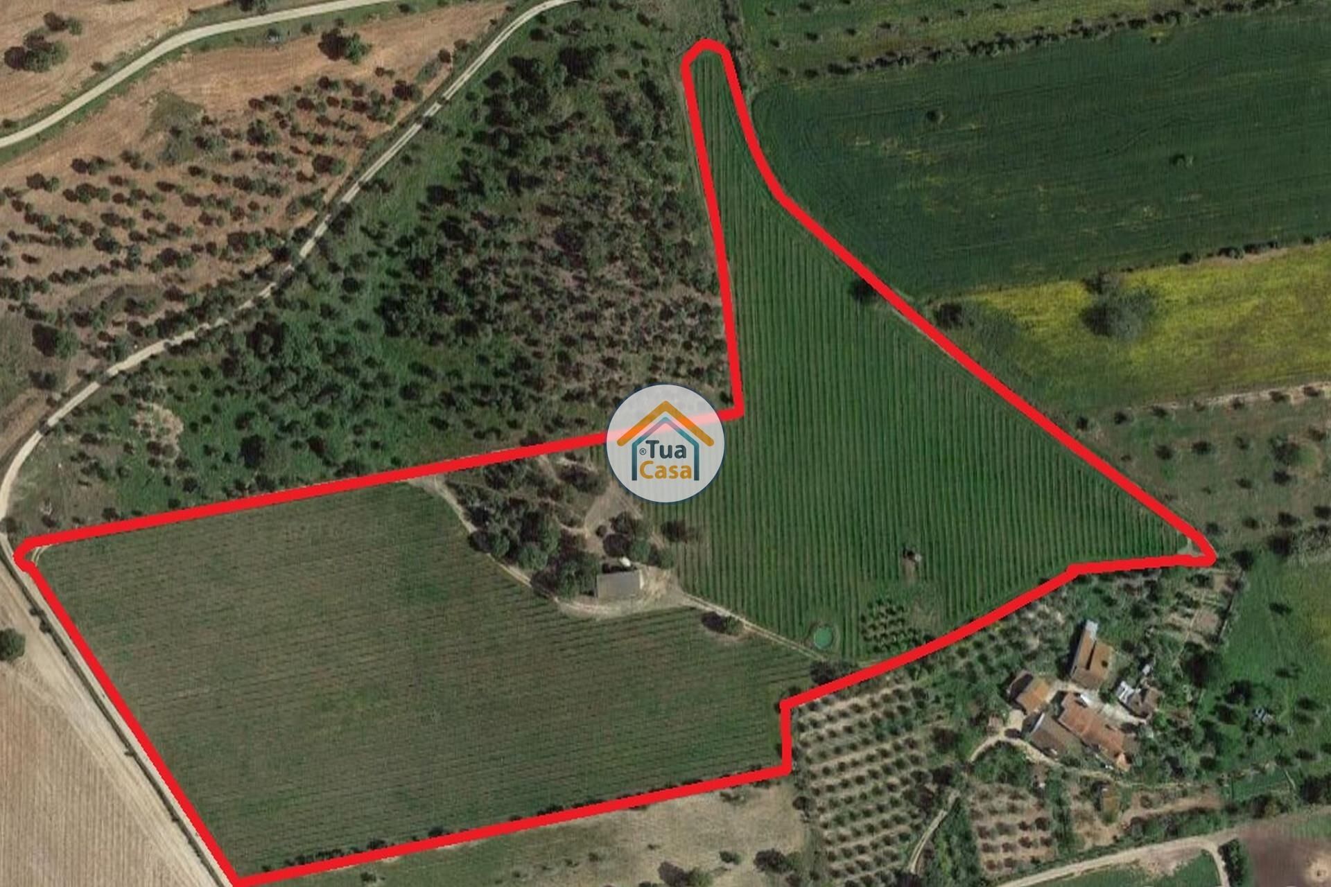 Land in São Bento do Cortiço, Evora 12509688