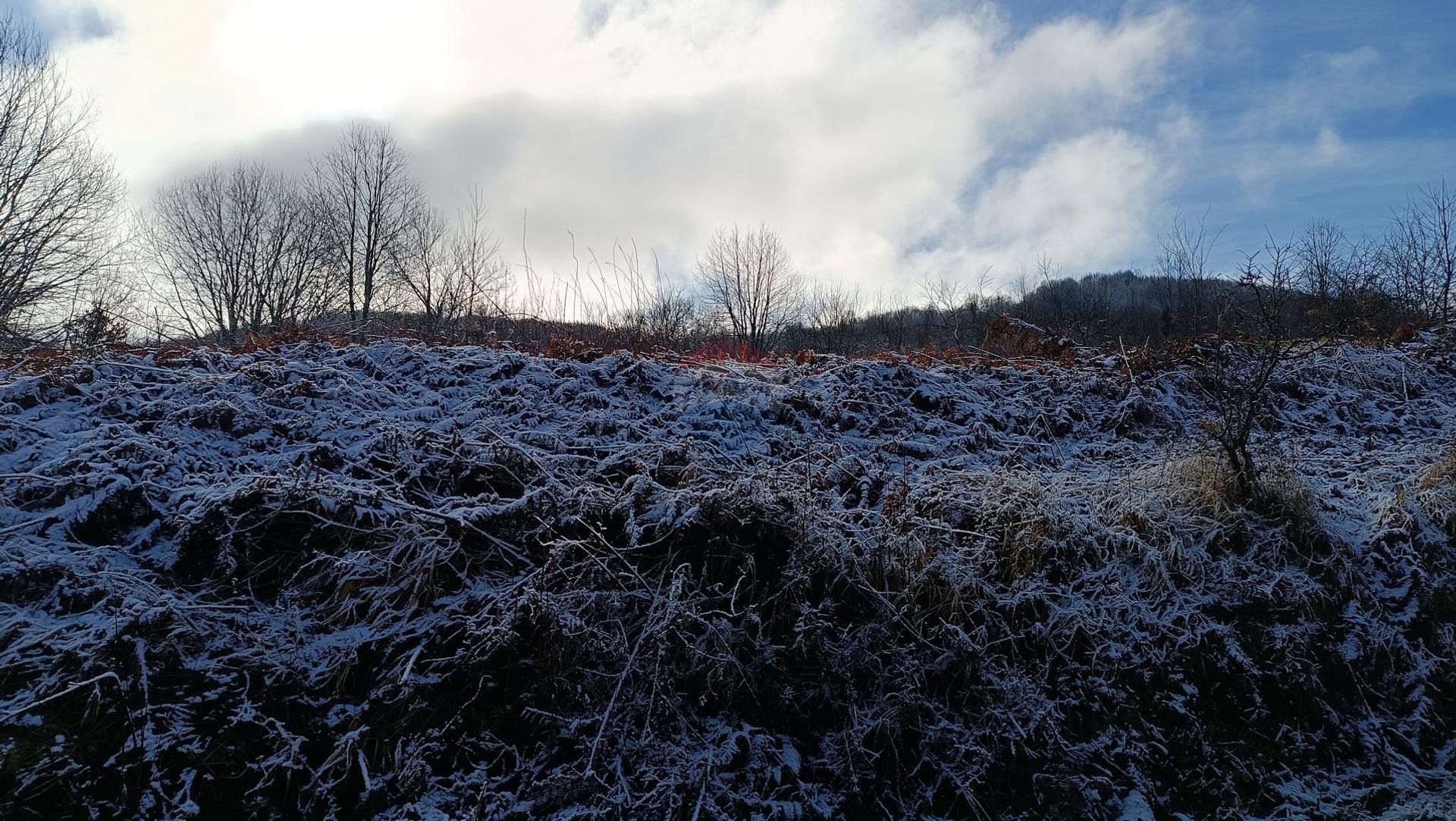 Terre dans Plaski, Karlovacka Zupanija 12510121